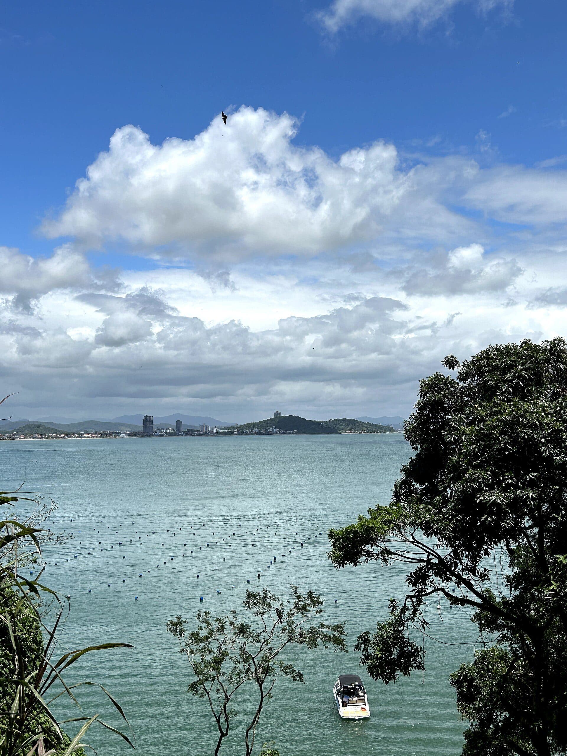 Vista da Praia da Paciência em Penha, Santa Catarina