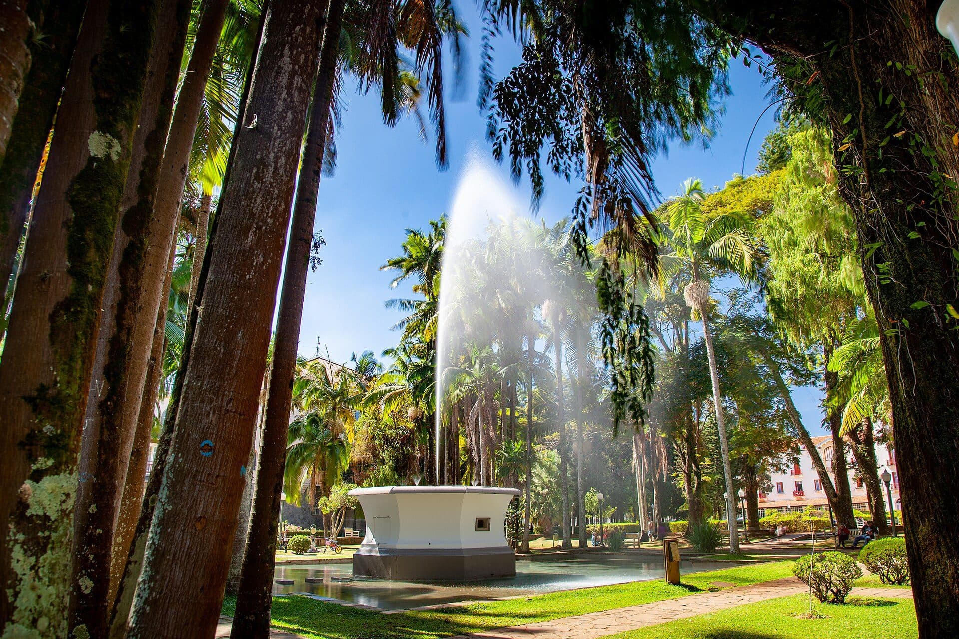 Vista do Parque José Affonso Junqueira e da Praça Doutor Pedro Sanches em Poços de Caldas