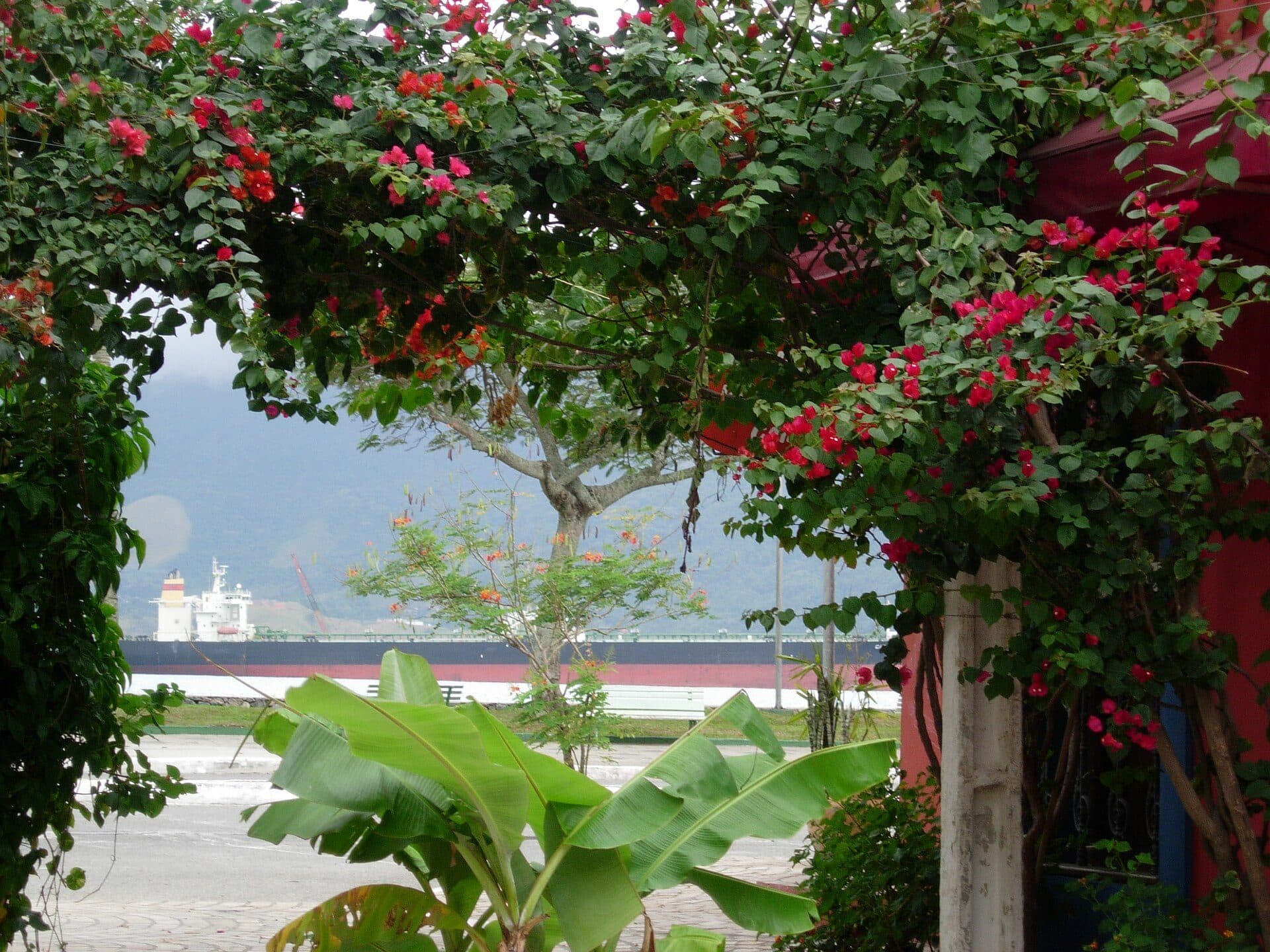 Navio petroleiro ancorado no porto de São Sebastião