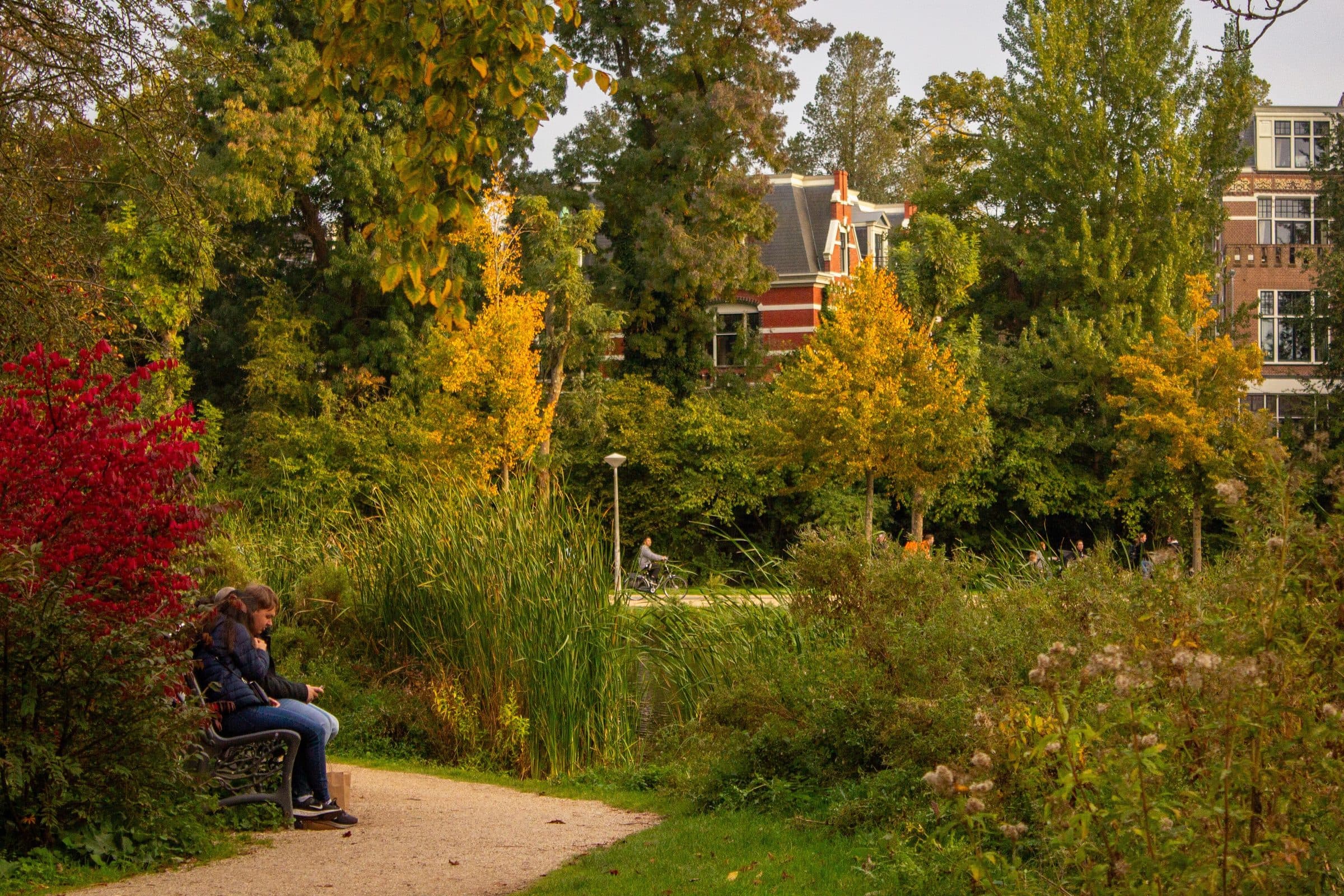 Canal em Amsterdam cercado por árvores de folhagem dourada no outono