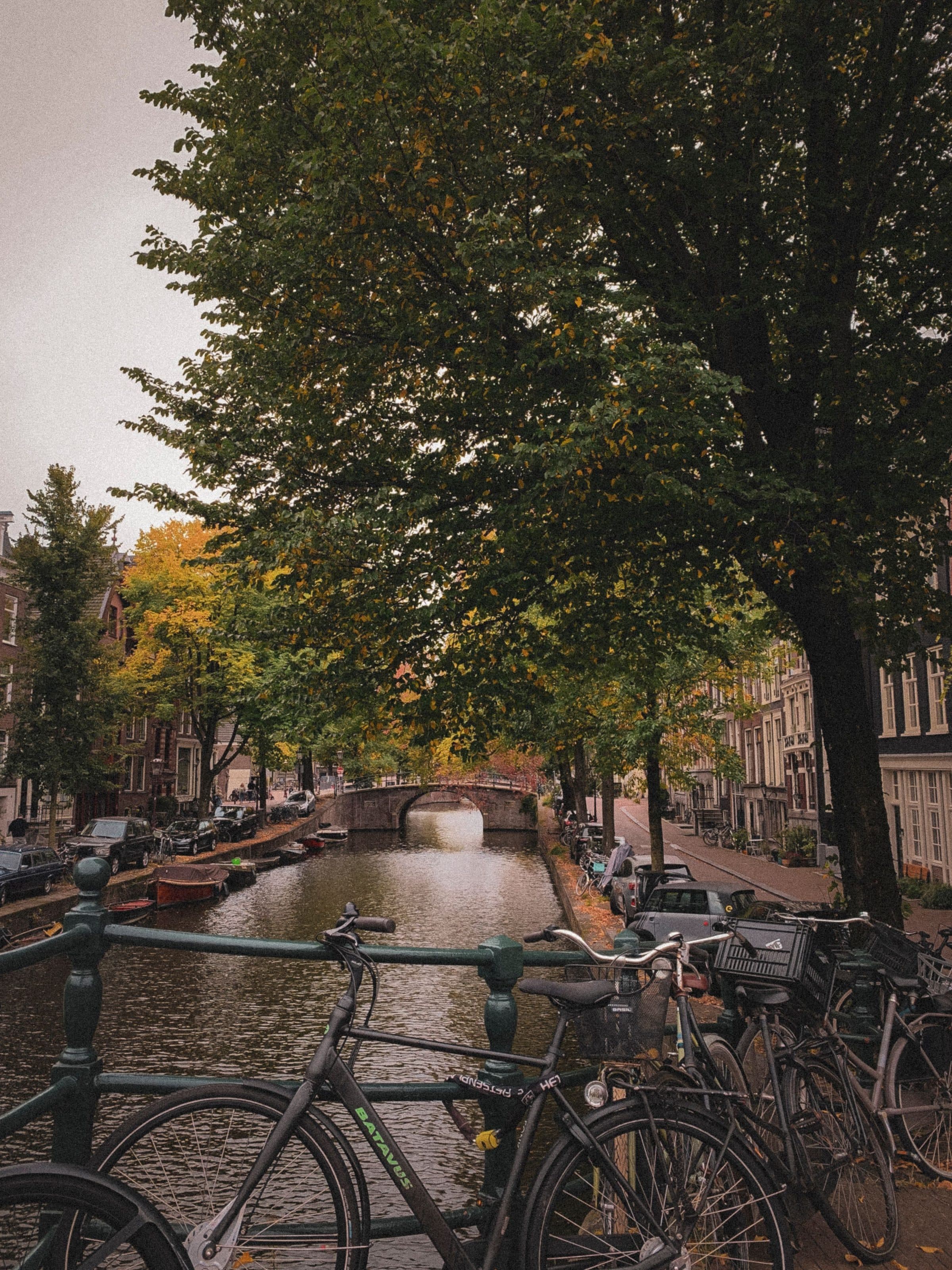 Canal em Amsterdã com bicicletas estacionadas e folhagens de outono em dia nublado