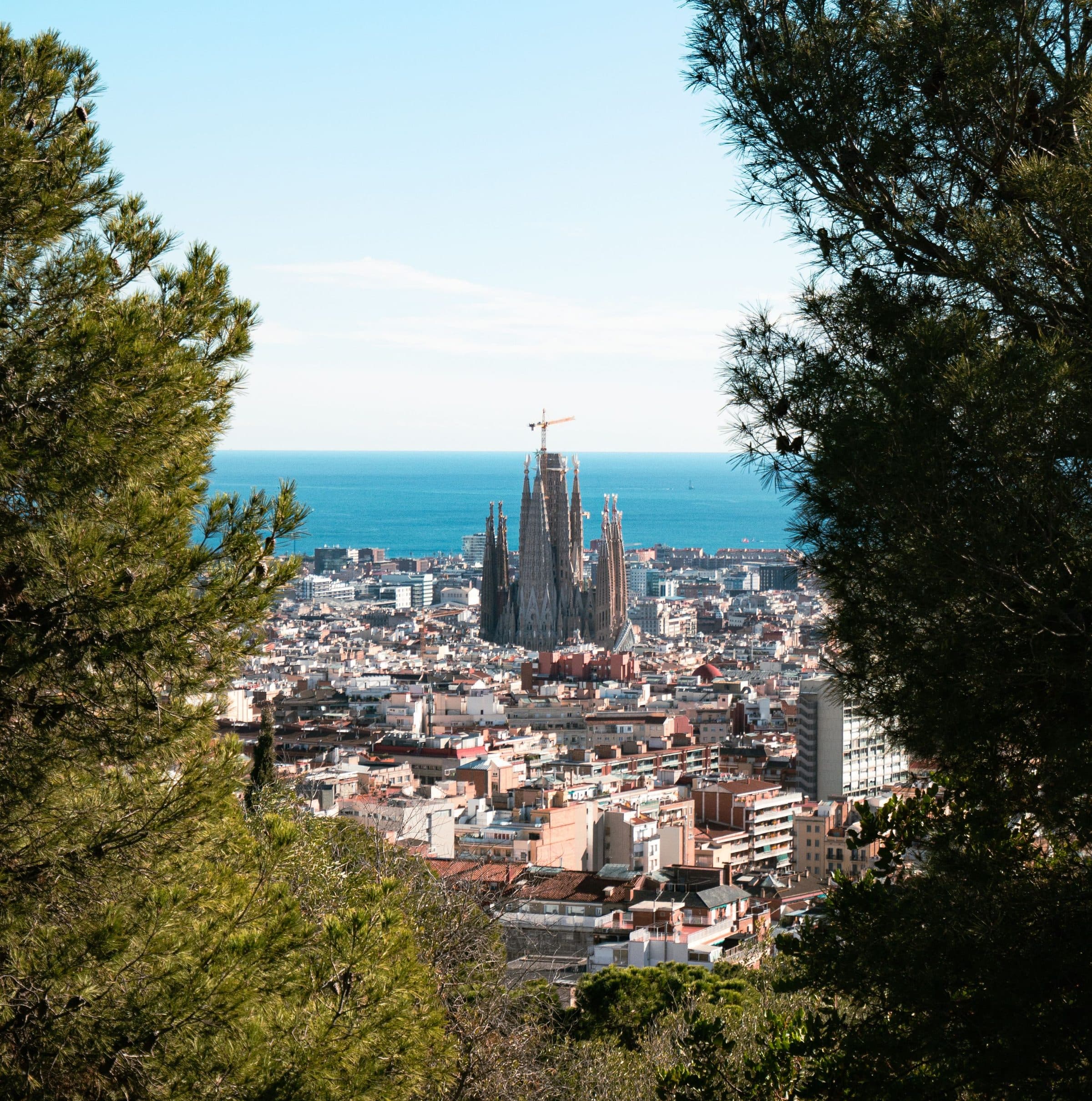 Vista aérea de Barcelona com a Sagrada Família cercada por vegetação