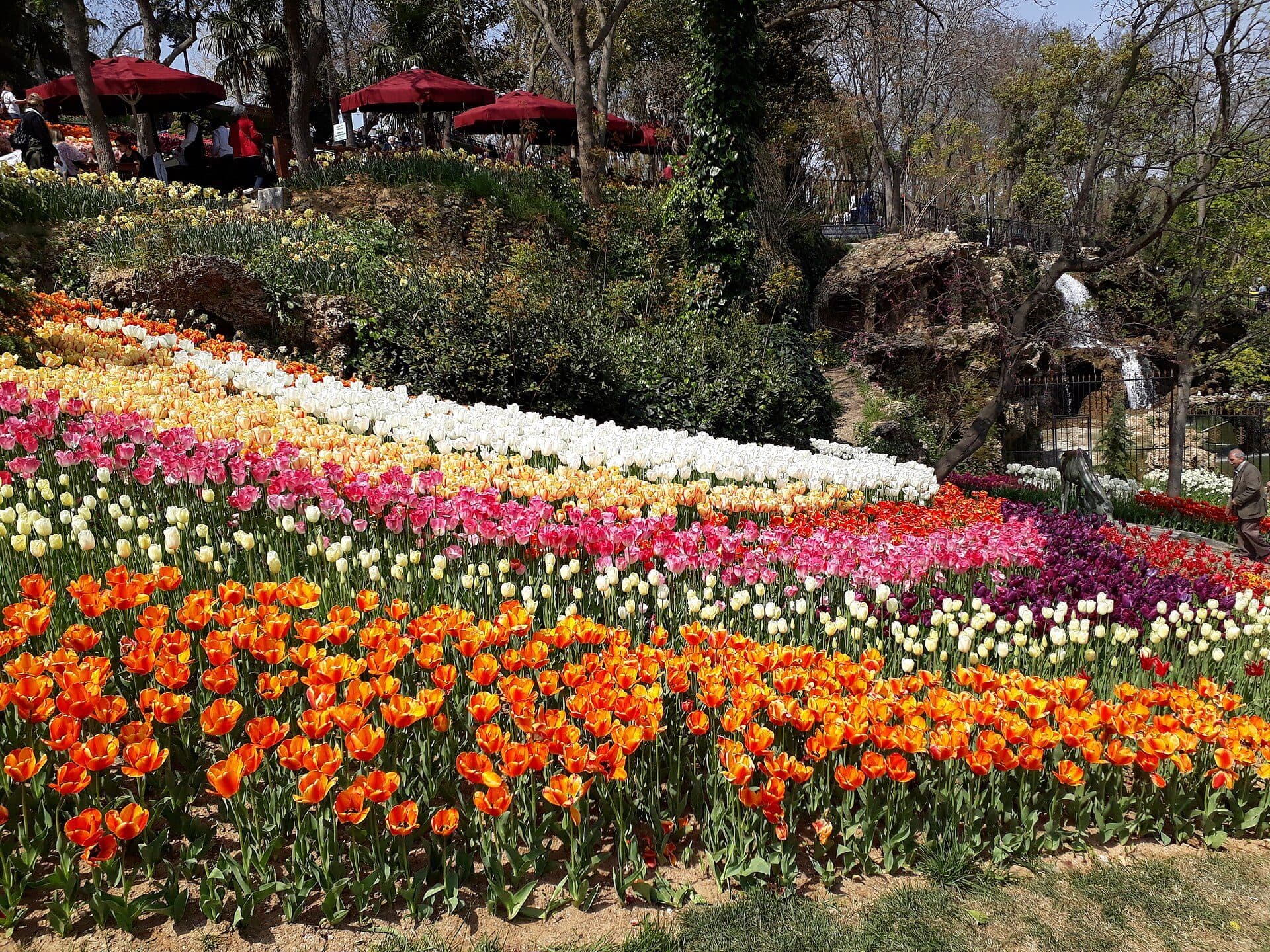 Canteiros de tulipas coloridas no Parque Emirgan durante o festival