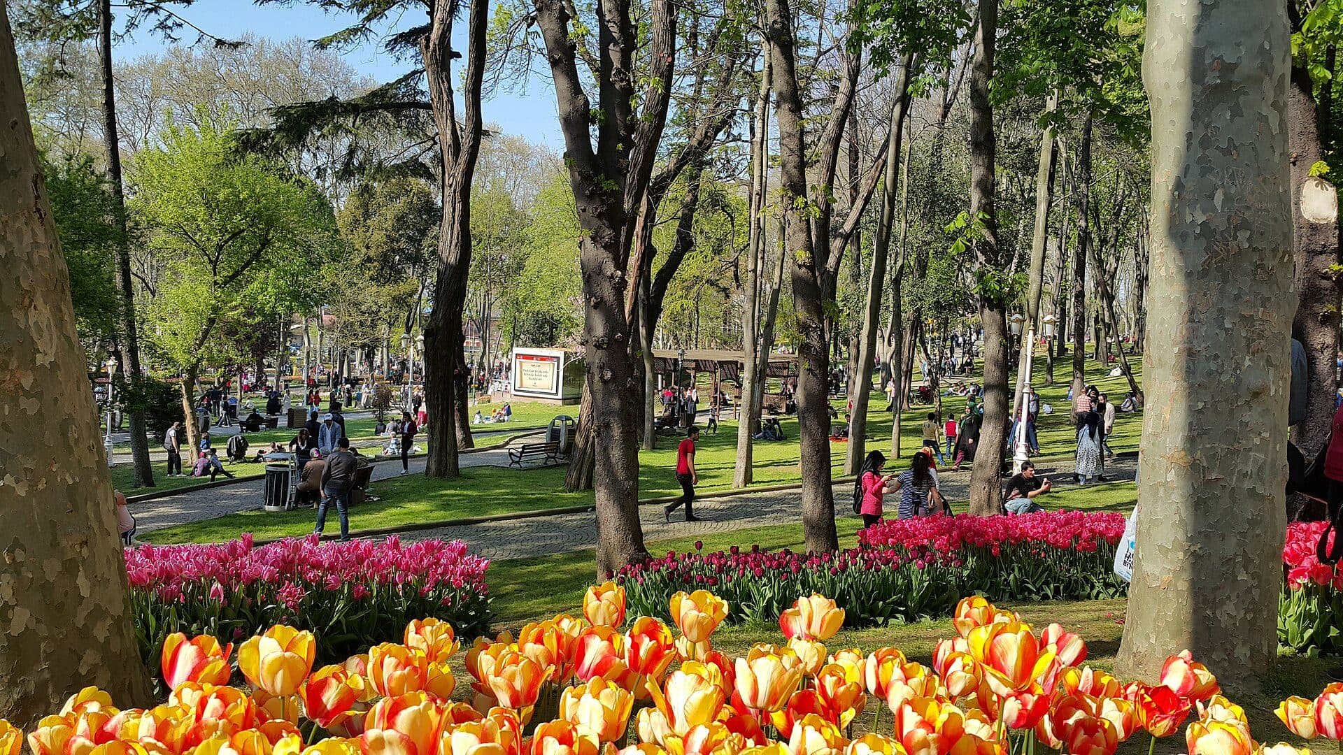 Vista da área verde e caminhos do Gülhane Park em Istambul