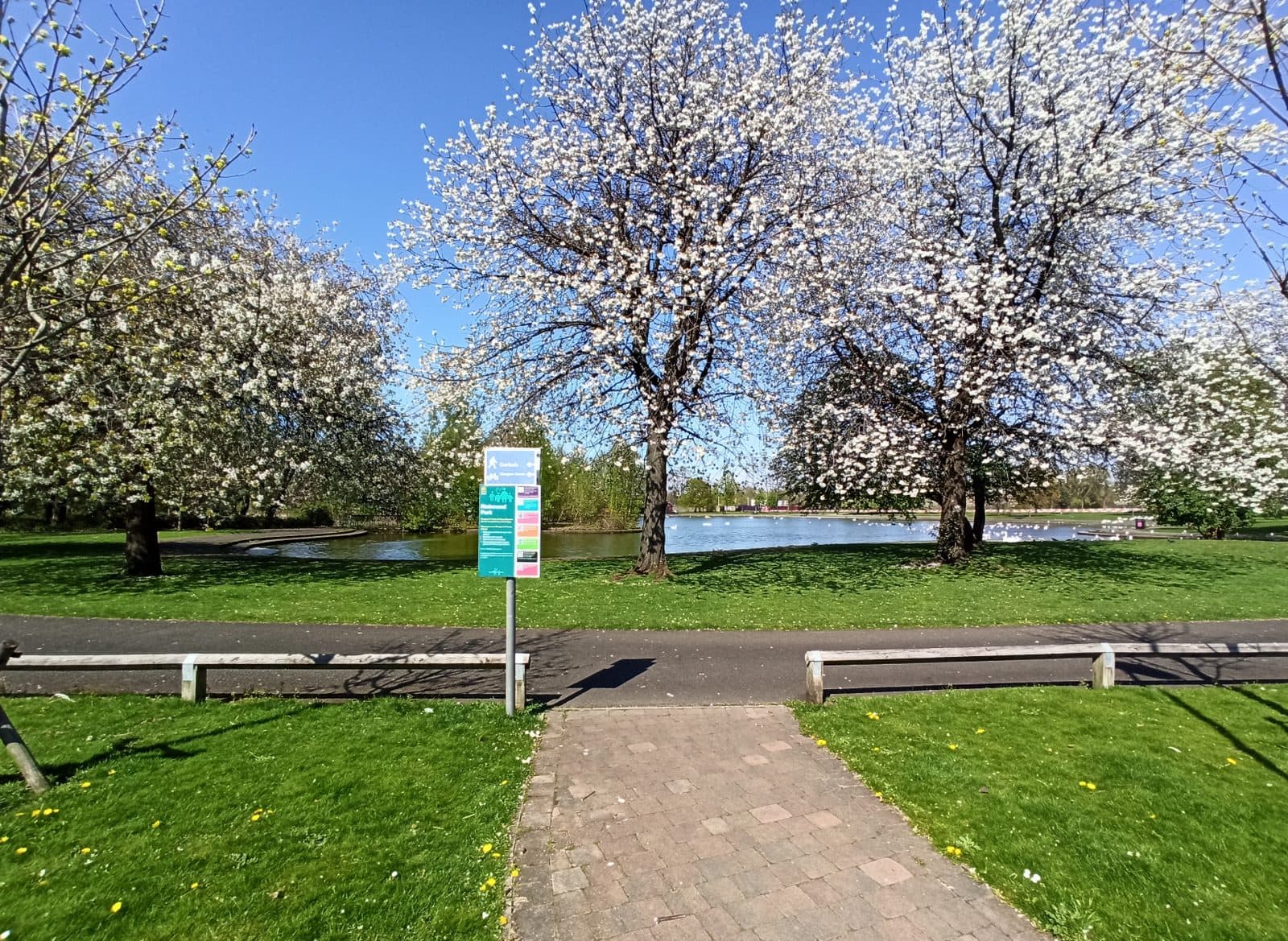 Vista da paisagem natural com árvores no Richmond Park