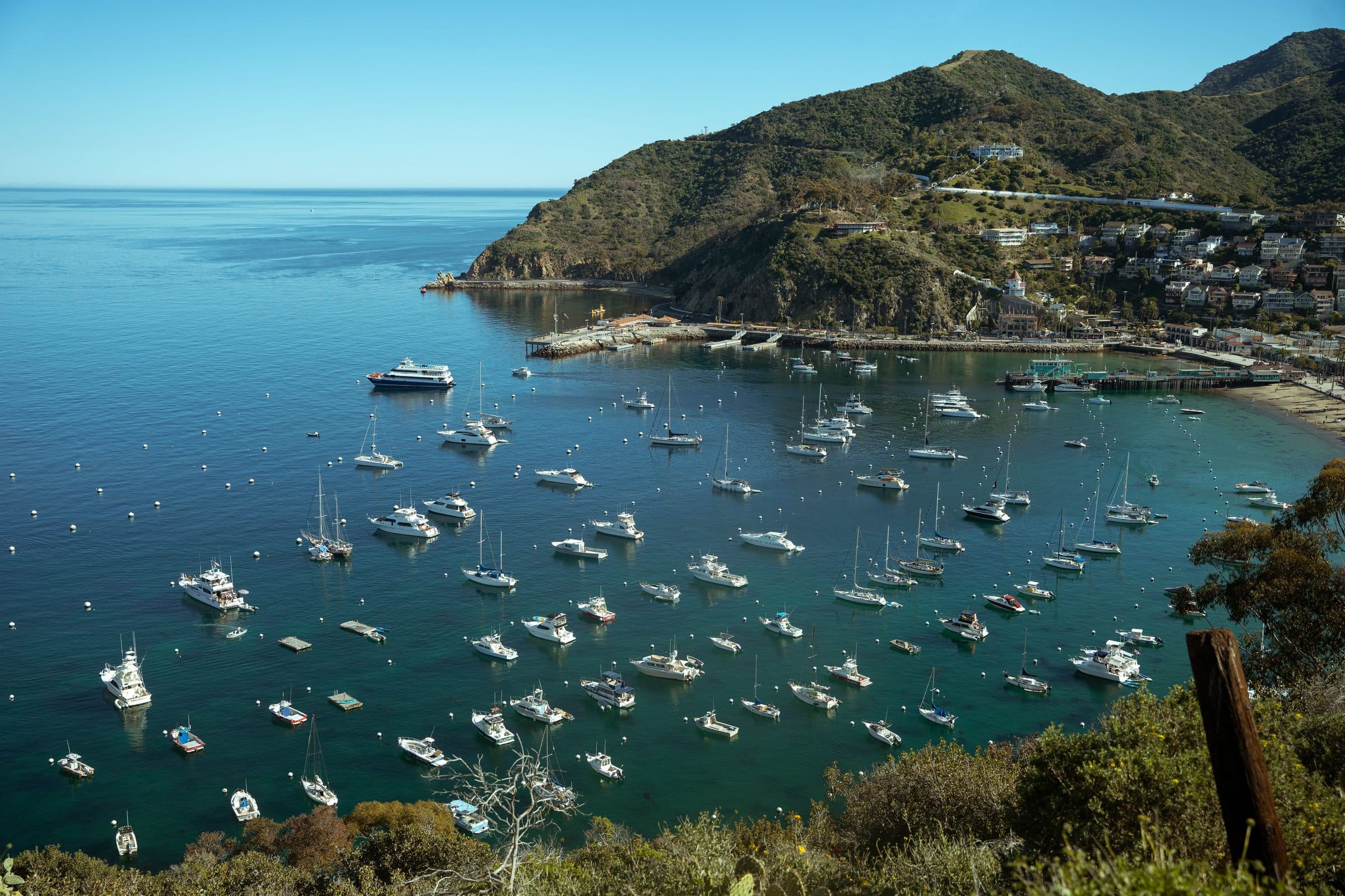 Vista da Baía de Avalon na Ilha de Santa Catalina com vários barcos em águas azuis claras