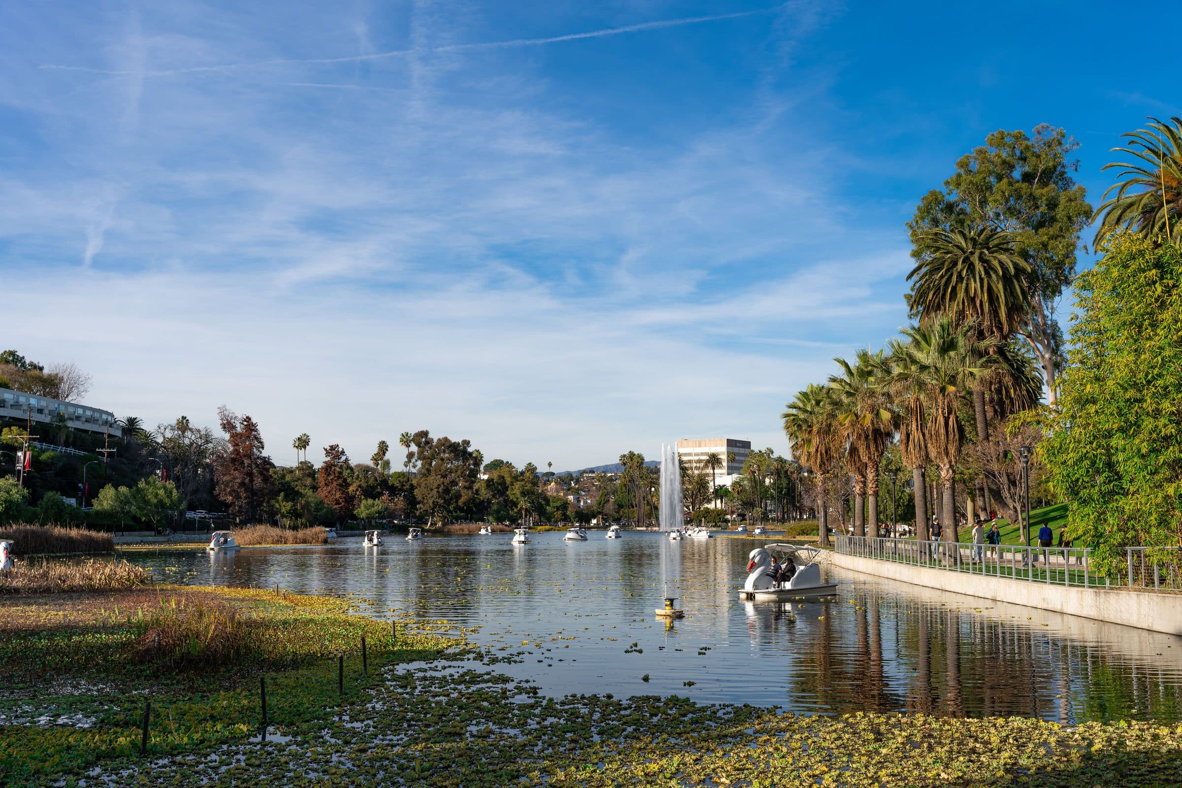 Echo Park Lake com pedalinhos e palmeiras sob o céu azul em Los Angeles