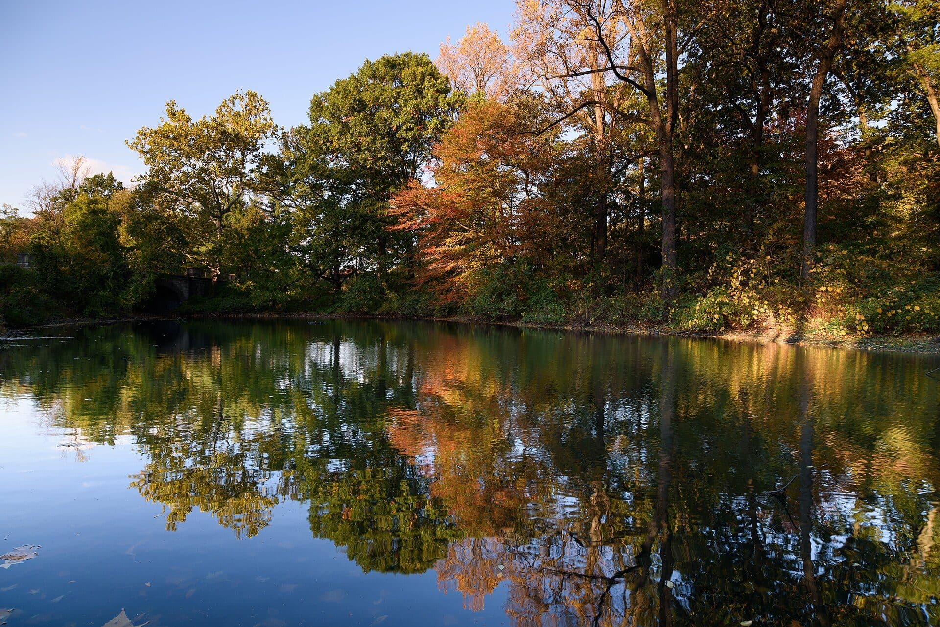 Vista da vegetação no New York Botanical Garden em outubro de 2016