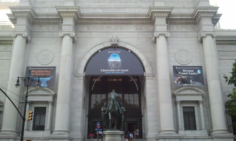 Vista de uma área do American Museum of Natural History