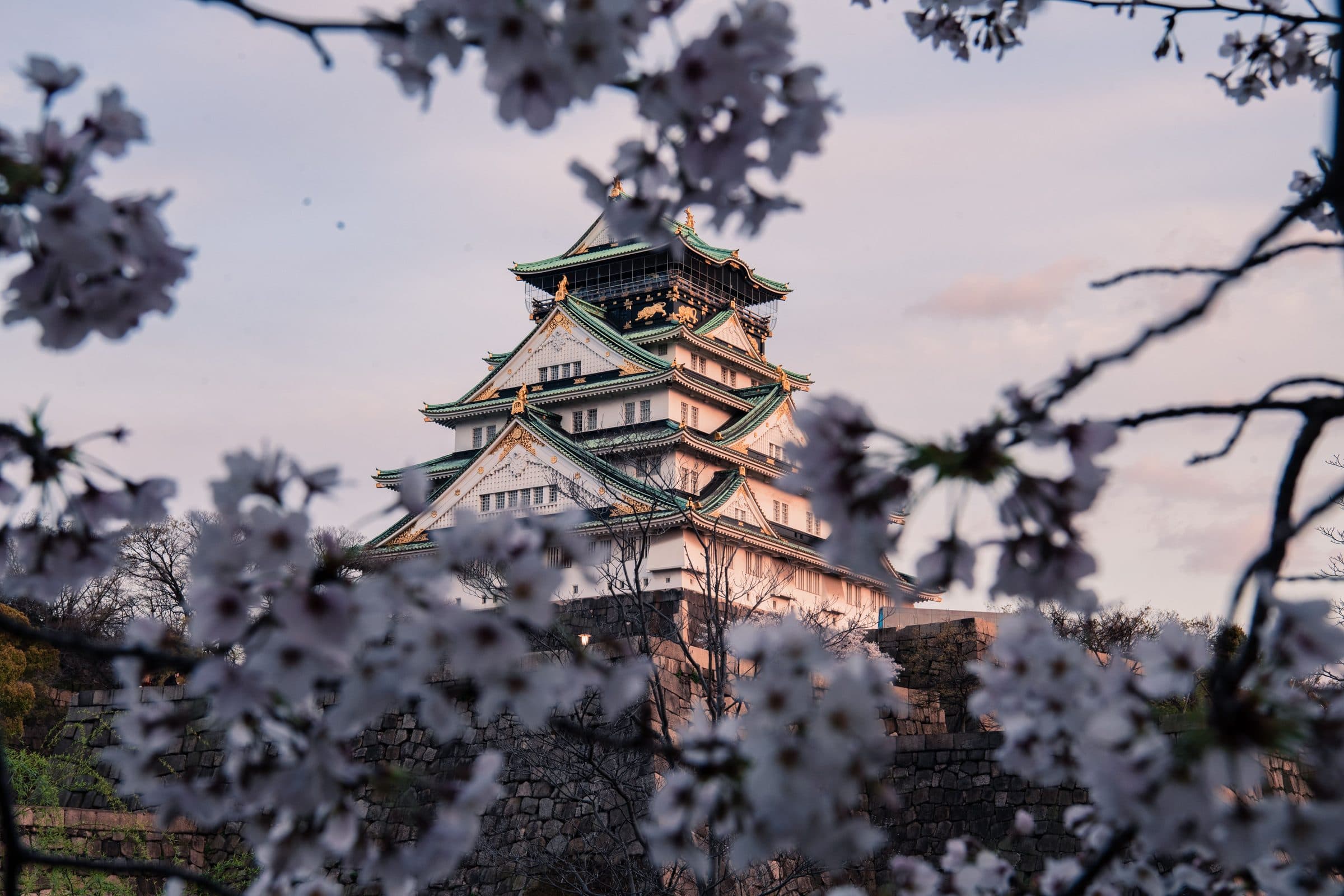 Vista do Castelo de Osaka emoldurado por cerejeiras floridas durante a primavera