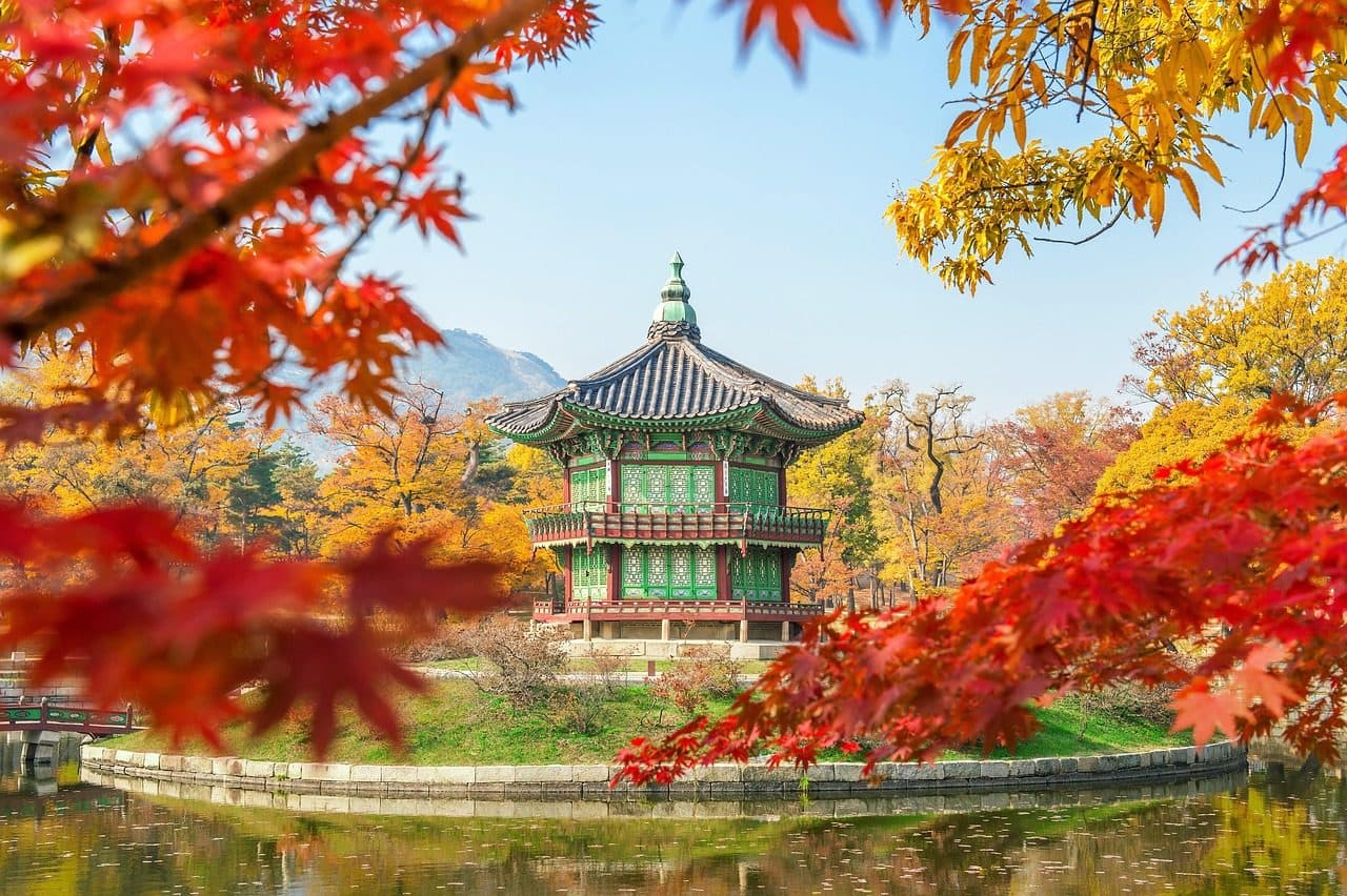 Árvores e folhas de bordo caídas no chão no Palácio Gyeongbokgung, em Seul