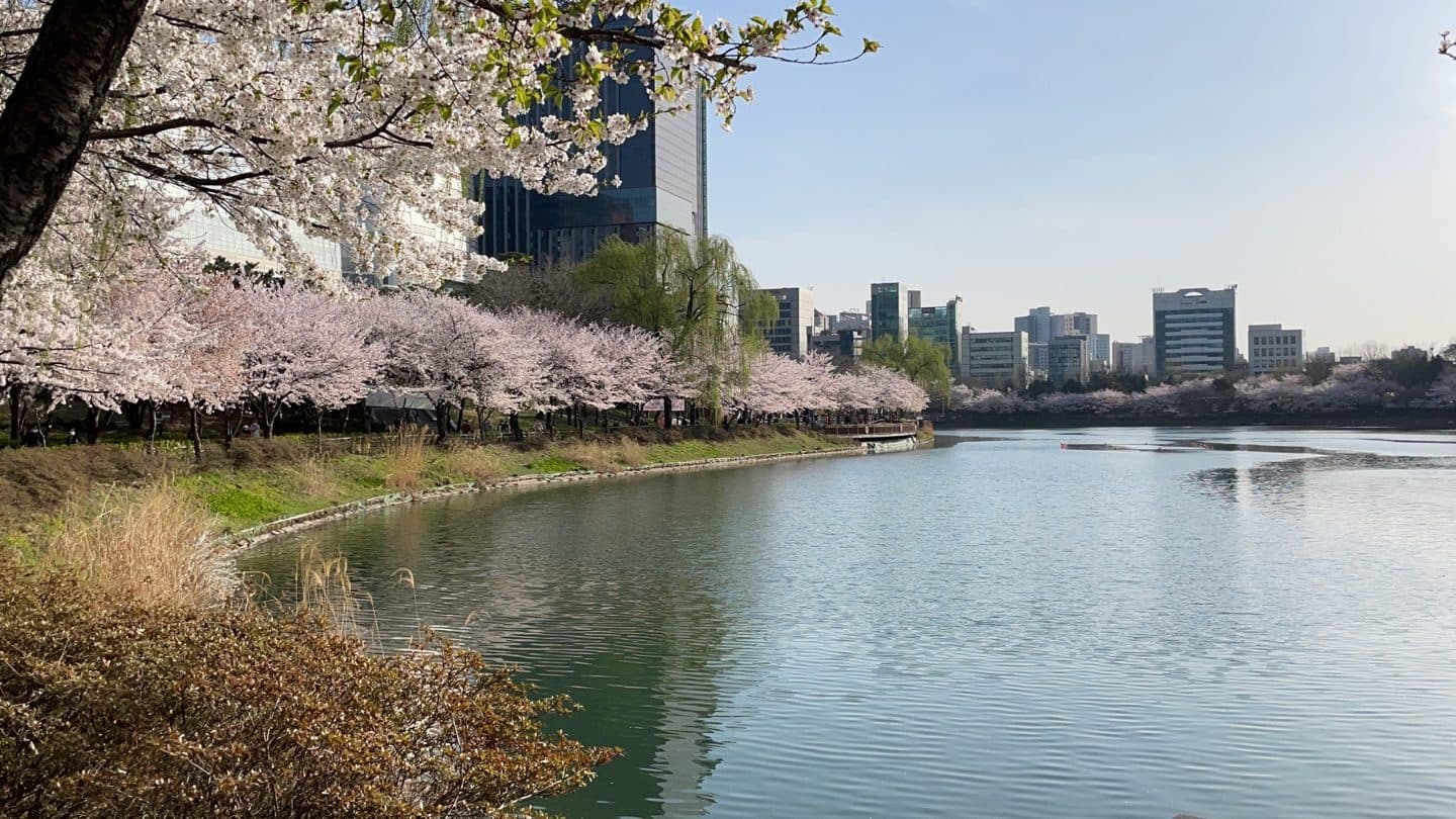 Vista do lago e da área arborizada no Seokchon Lake Park