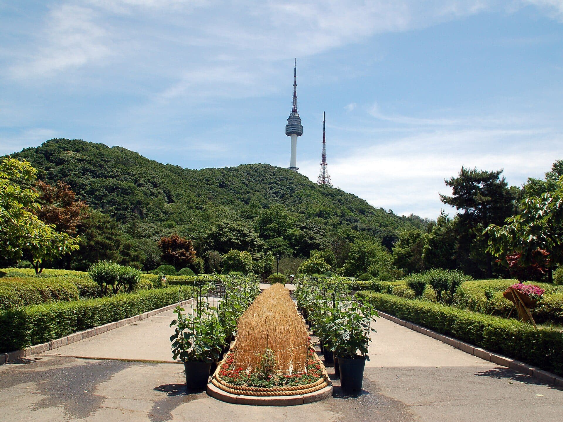 Vista da paisagem do Monte Namsan em Seul