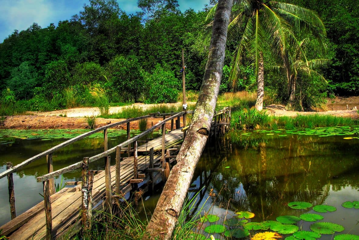 Paisagem da ilha Pulau Ubin, em Cingapura