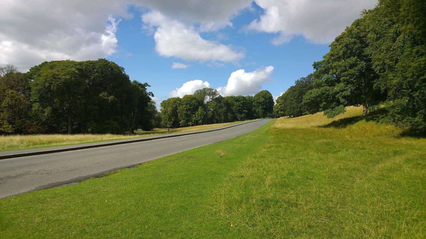 Vista da paisagem ao ar livre no Phoenix Park em Dublin