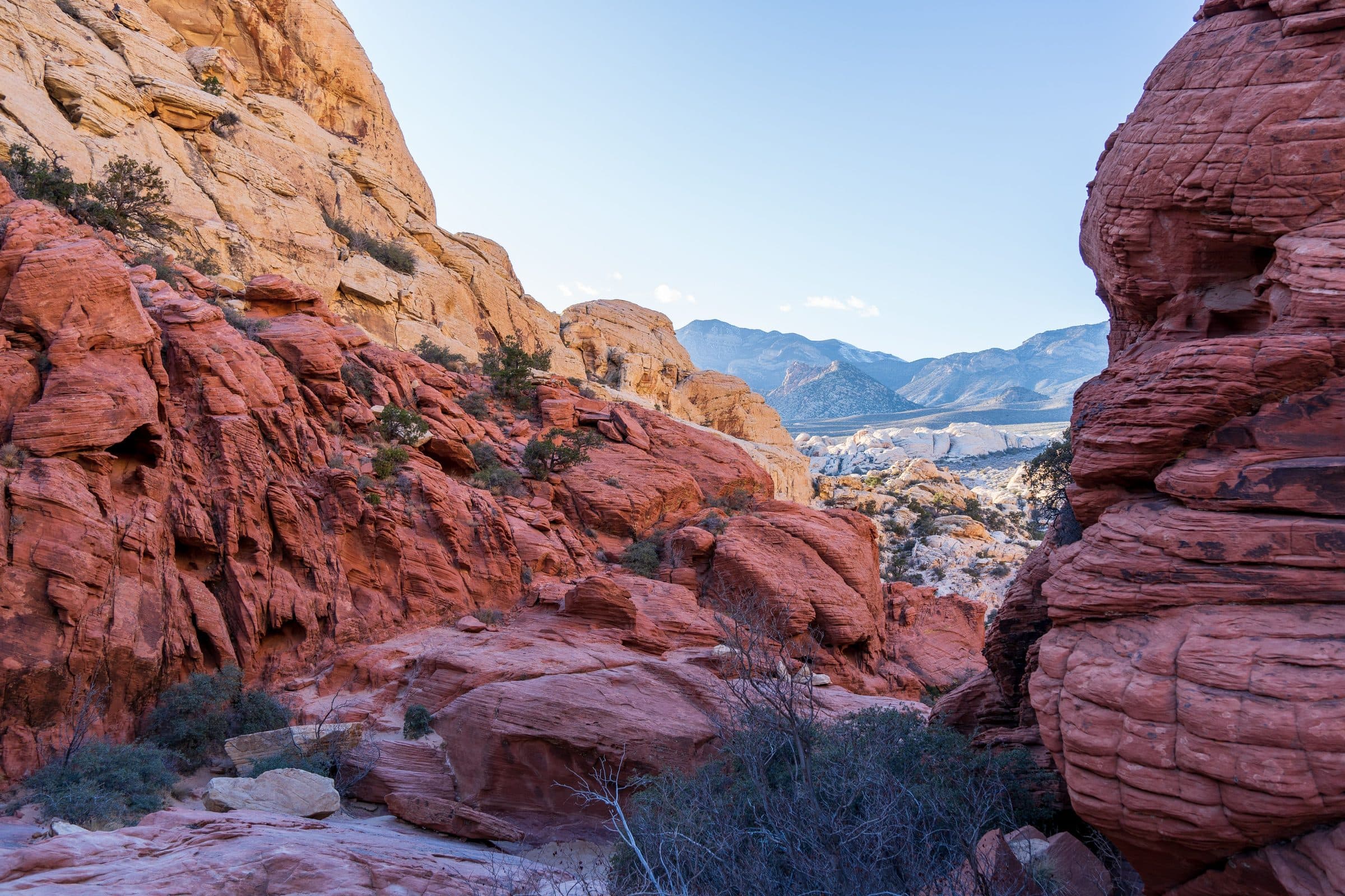 Vista das formações rochosas do Red Rock Canyon sob céu claro