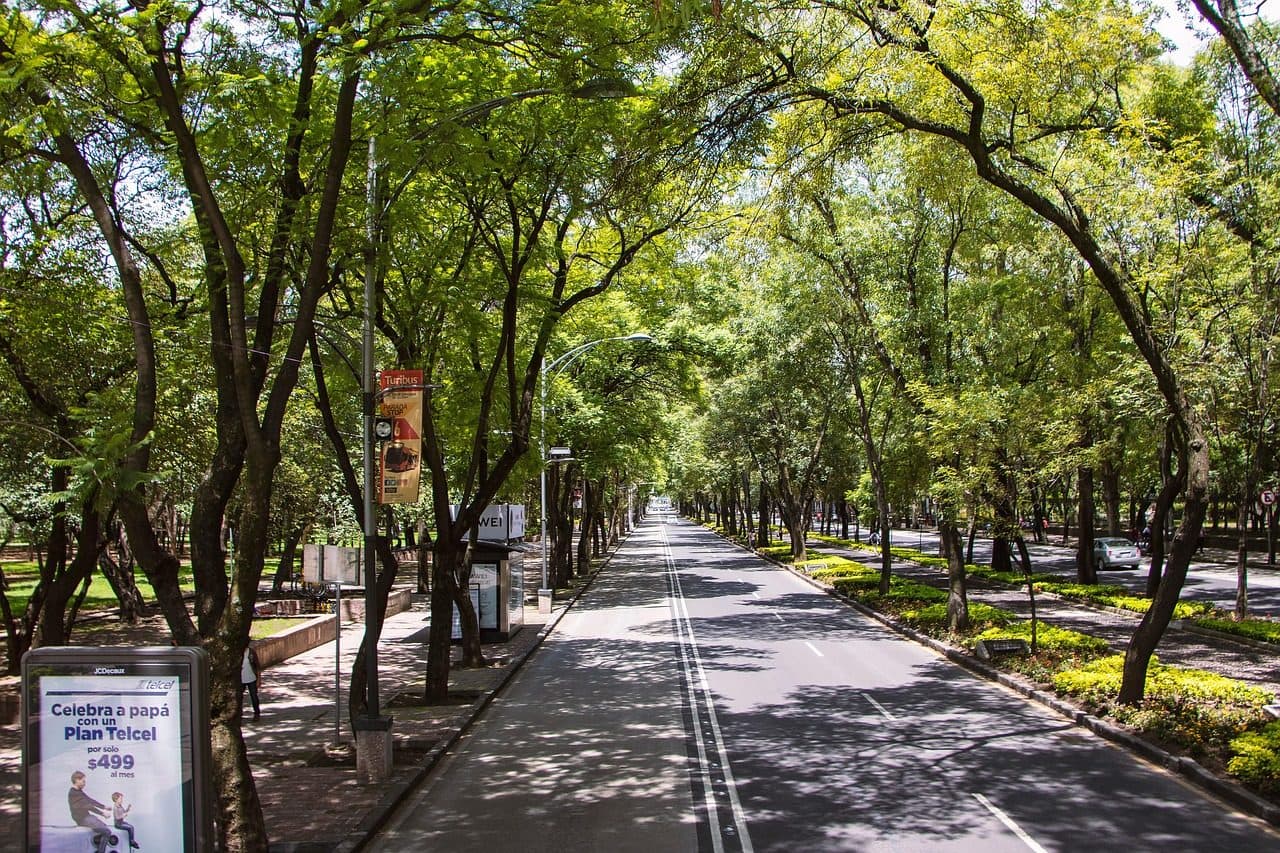 Avenida arborizada ao longo do Paseo de la Reforma em Chapultepec