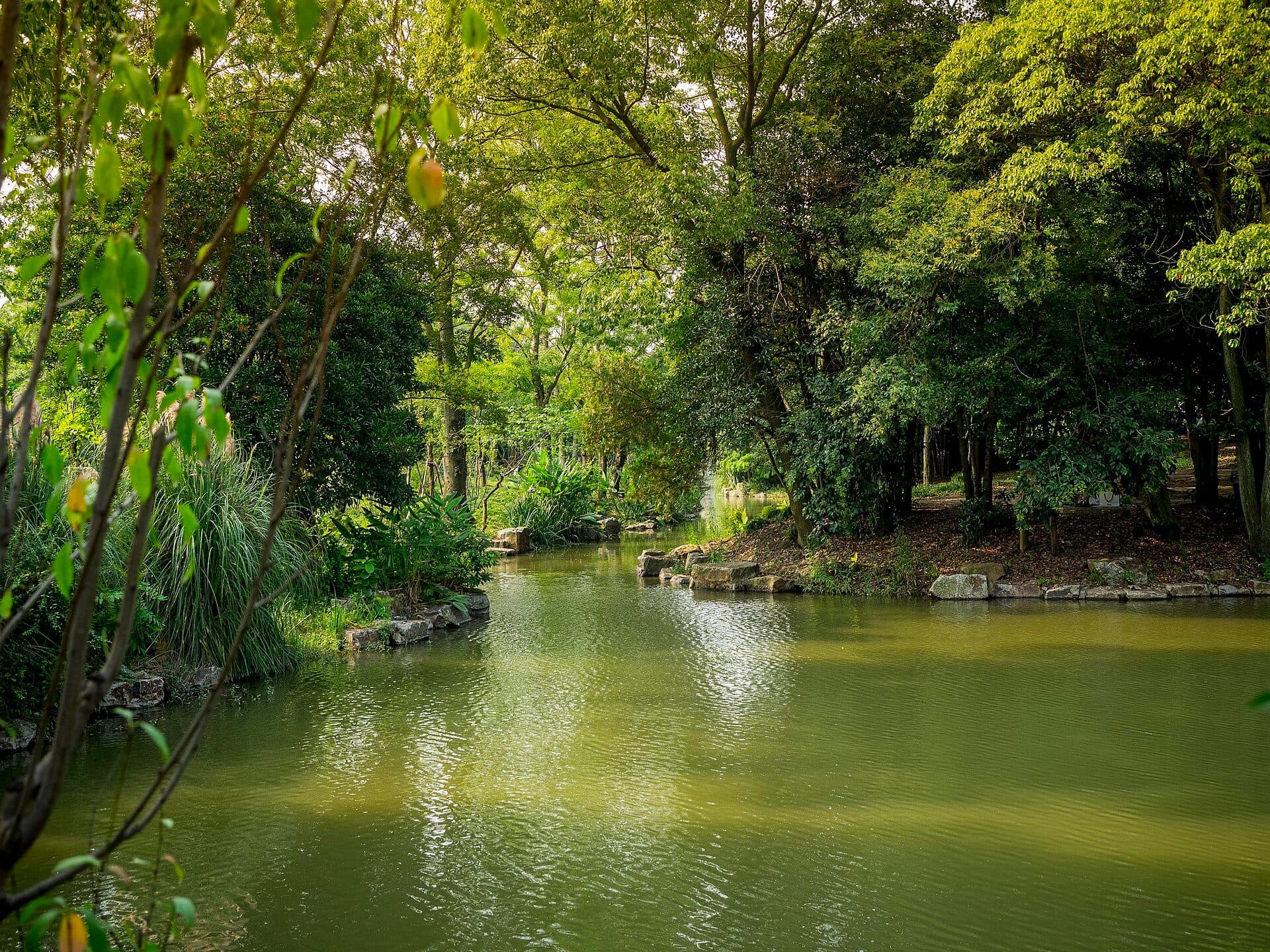 Jardim Botanico de Xangai
