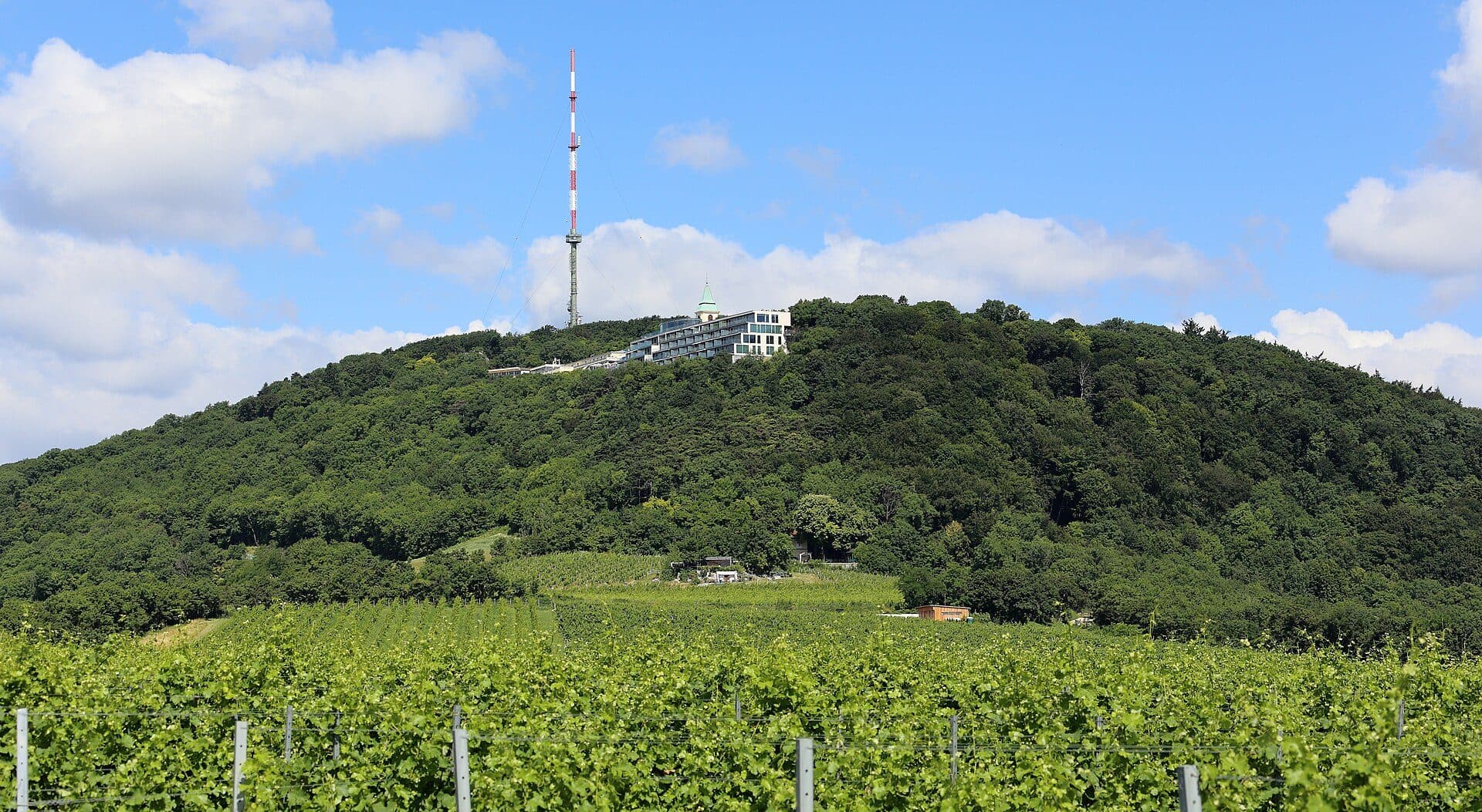 Morro Kahlenberg