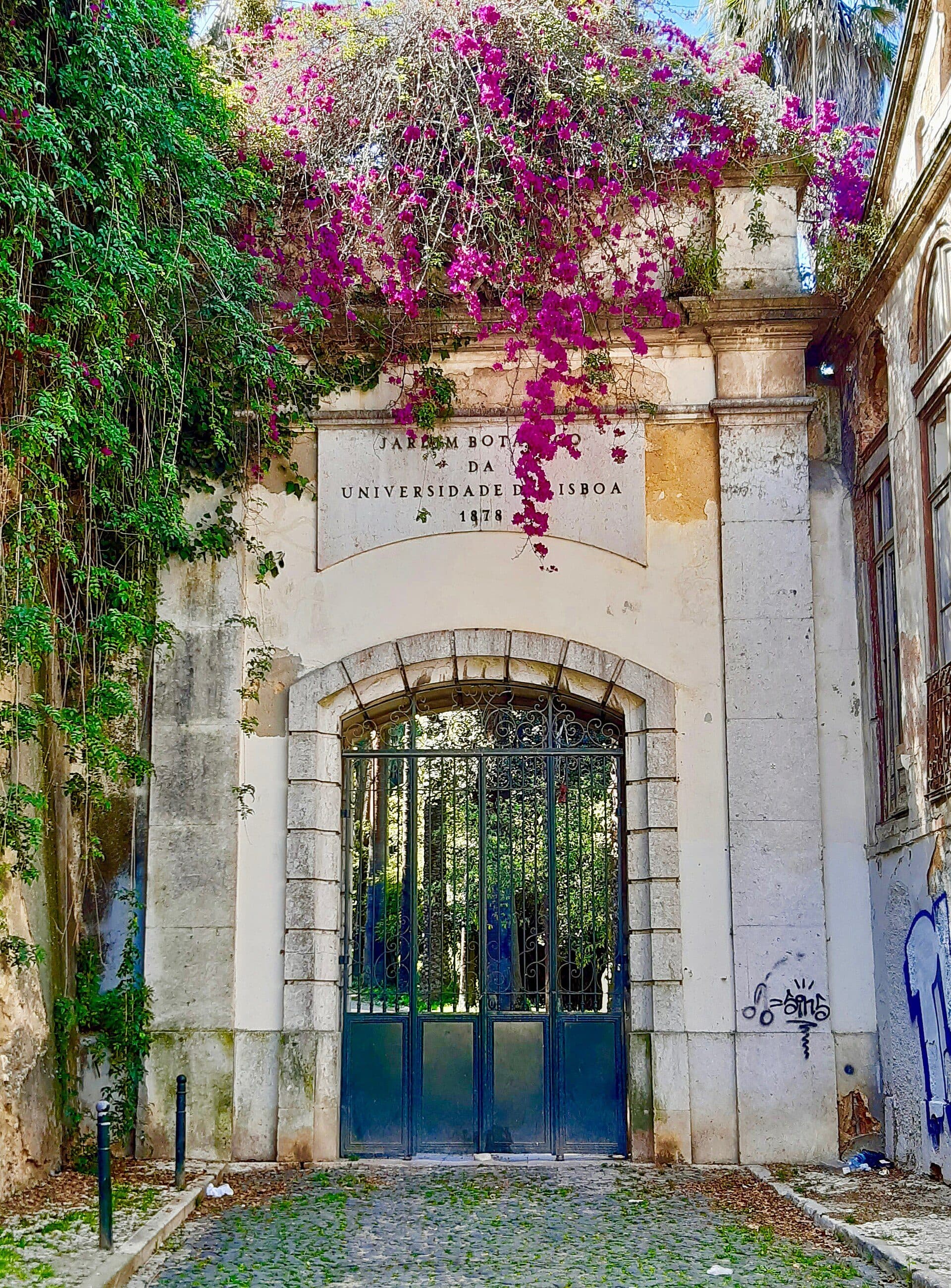 Vista do Jardim Botânico da Universidade de Lisboa