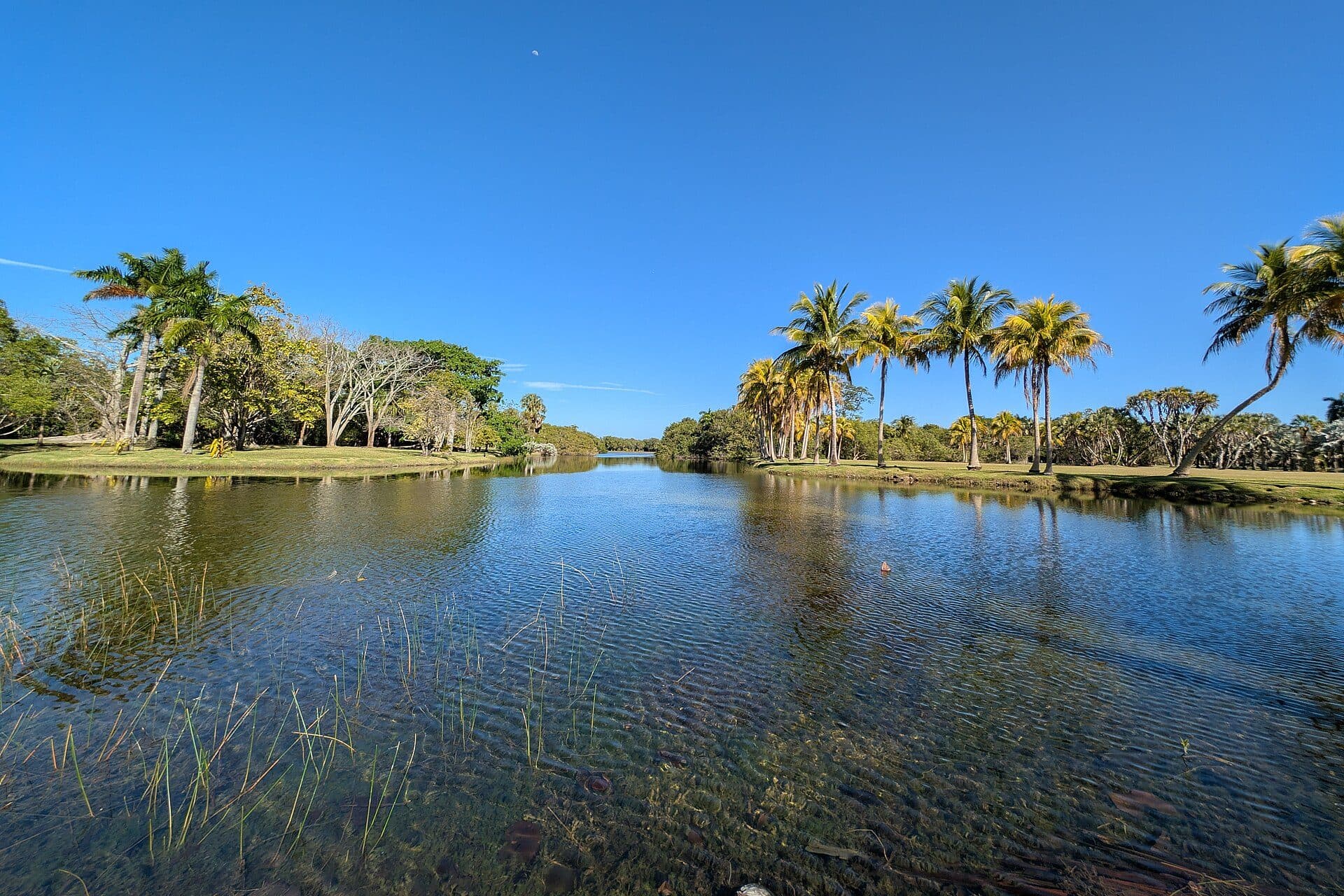 Área verde com plantas tropicais no Fairchild Tropical Botanic Garden