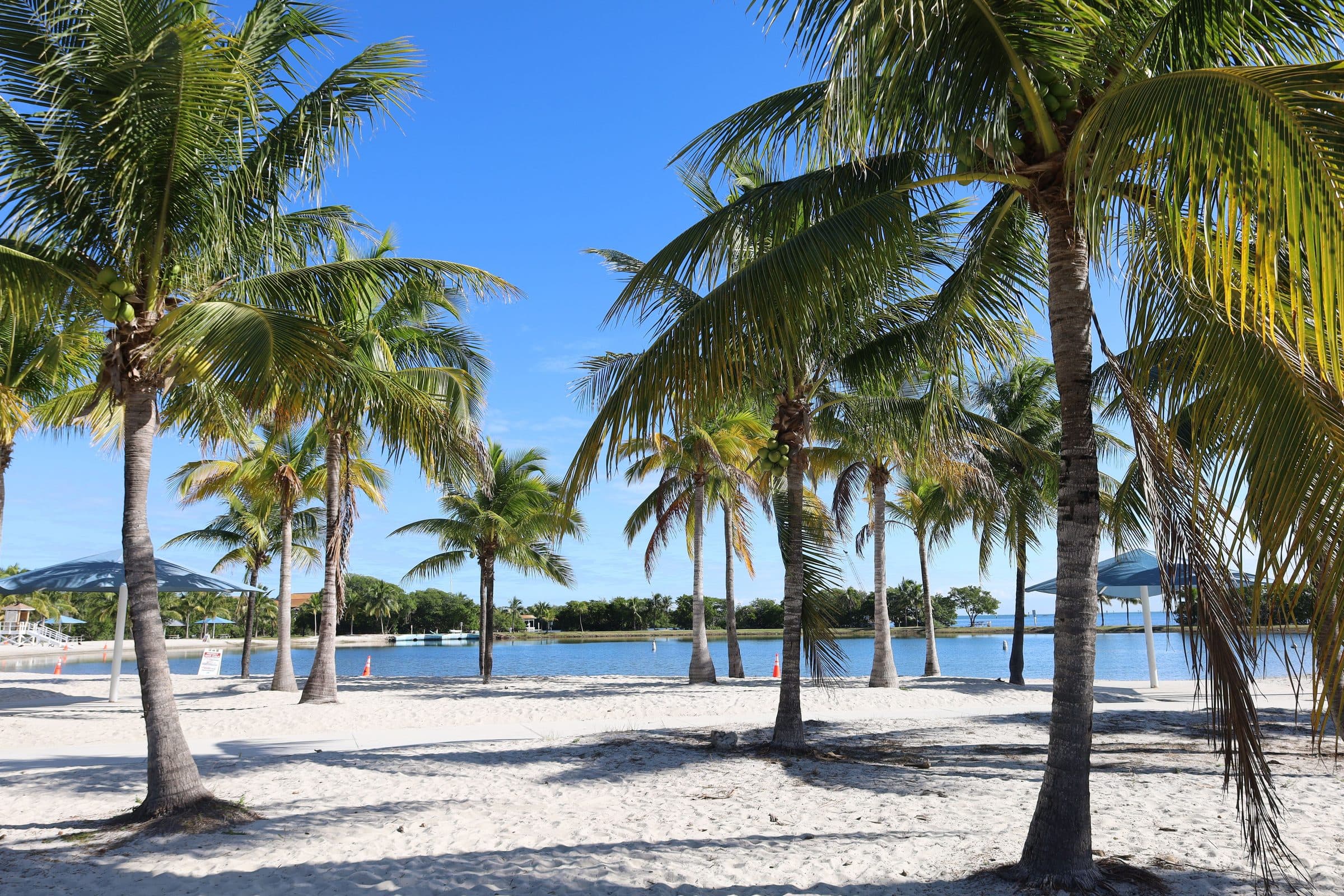 Praia com palmeiras sob céu azul em Homestead, Flórida