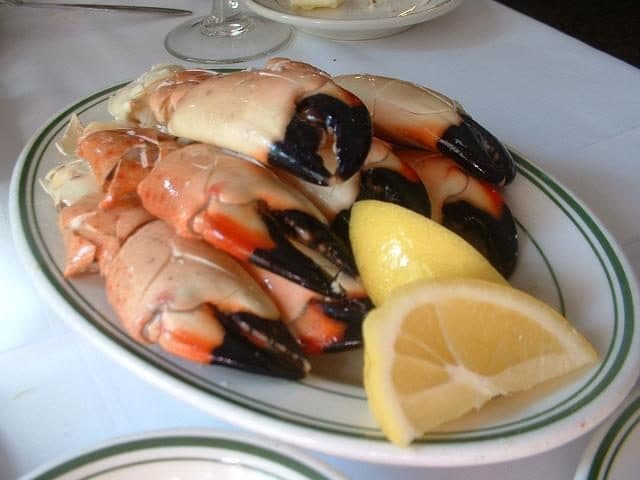 Porção de patas de caranguejo stone crab servidas em um prato