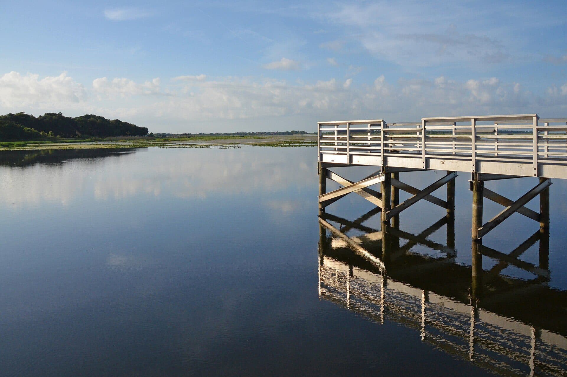 Vista da paisagem natural do Lake Tohopekaliga na Flórida