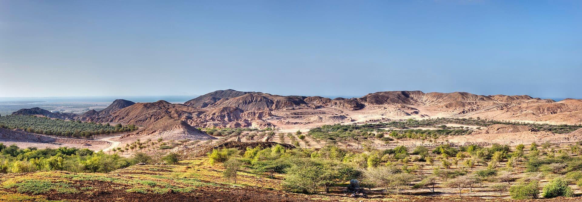 Vista panorâmica da paisagem da Ilha Sir Bani Yas