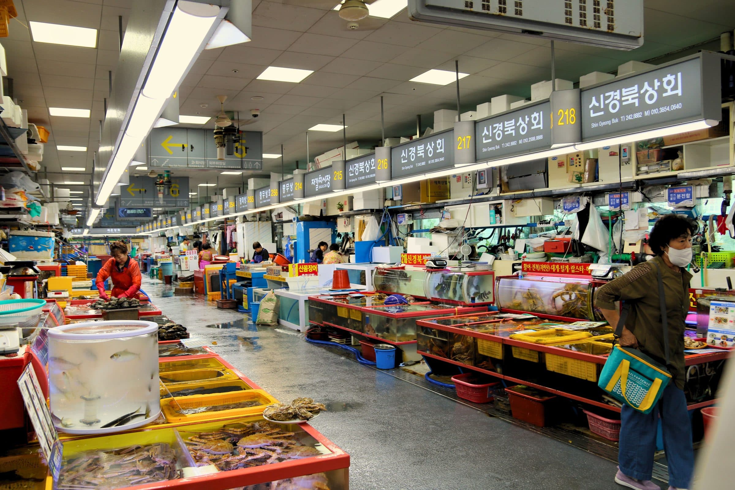 Interior movimentado e colorido do mercado de peixes em Busan, Coreia do Sul