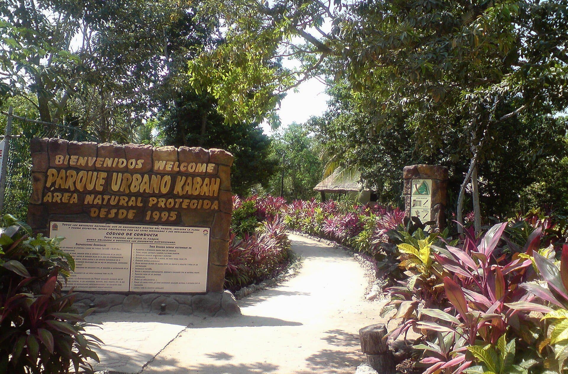 Vista de área natural com vegetação no Parque Kabah