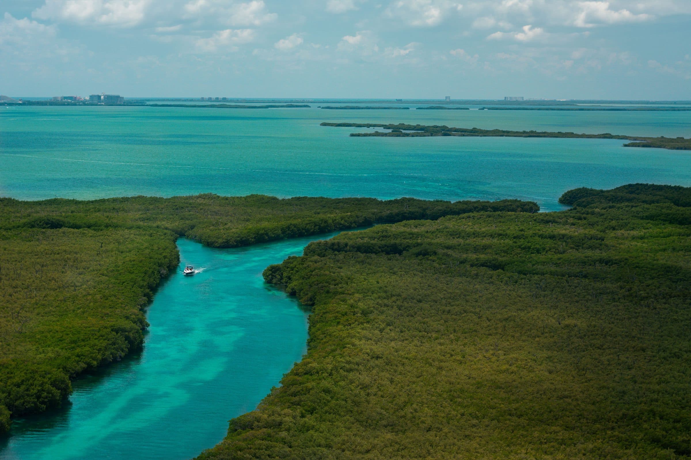 Vista aérea dos manguezais verdes e das águas azuis em Cancún