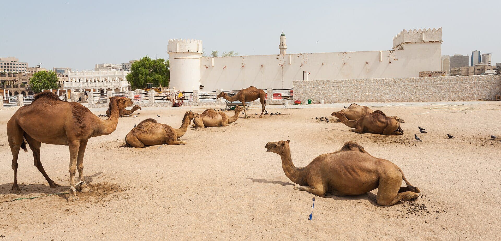 Vista externa do Forte Al Koot em Doha, Catar