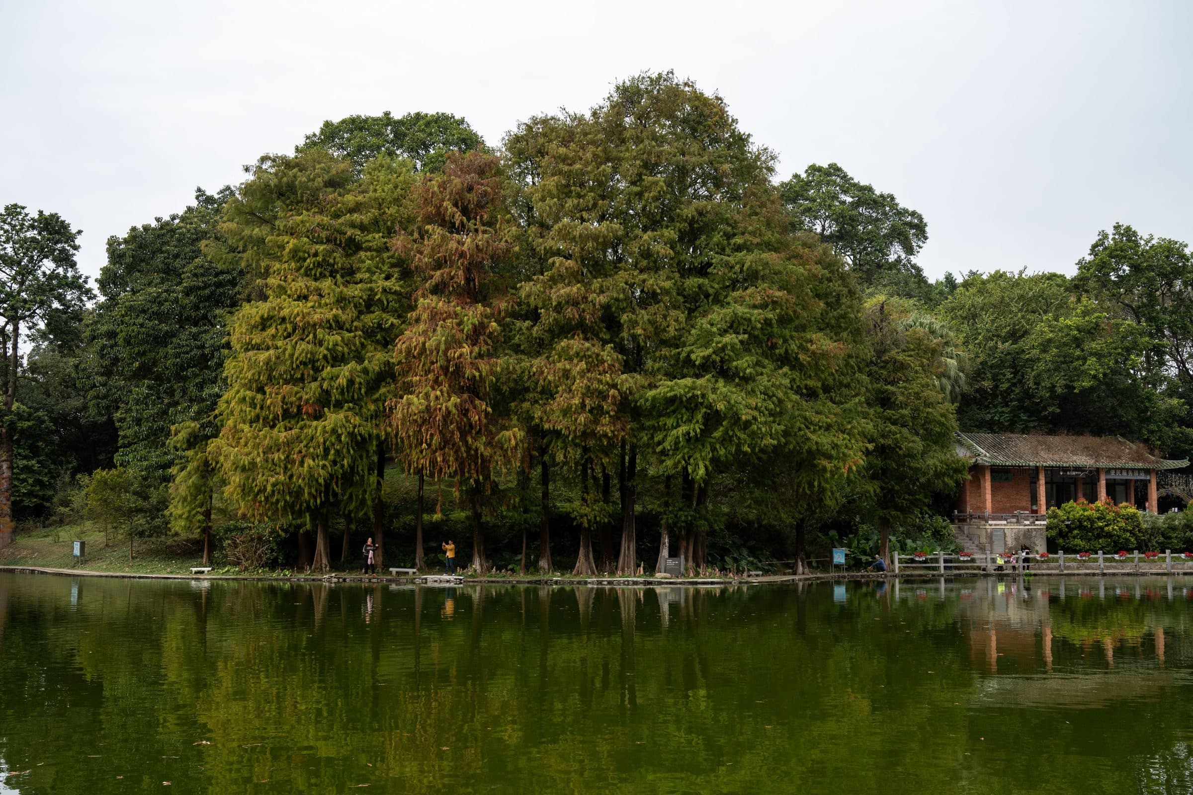 Lago cercado por árvores e arquitetura tradicional em Guangzhou, China