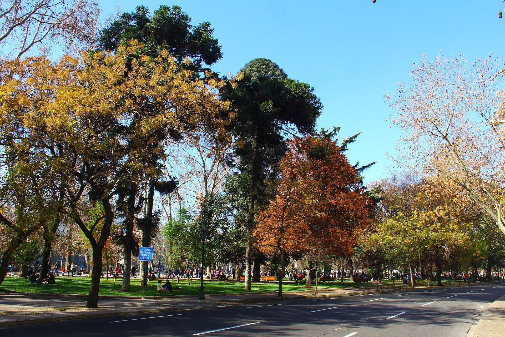 Vista do Parque Forestal na cidade de Santiago, Chile