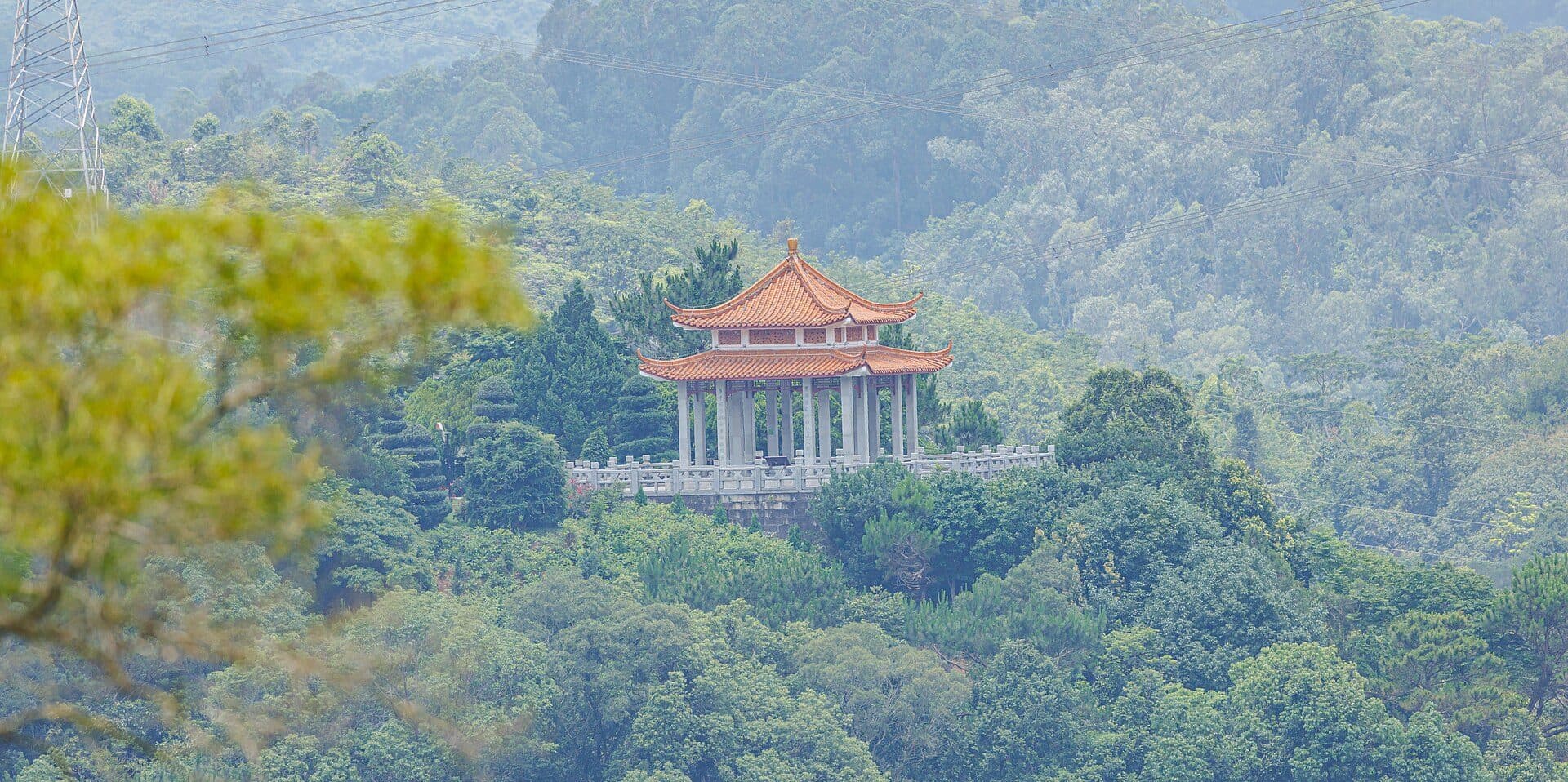 Vista da vegetação e paisagem no Fairylake Botanical Garden
