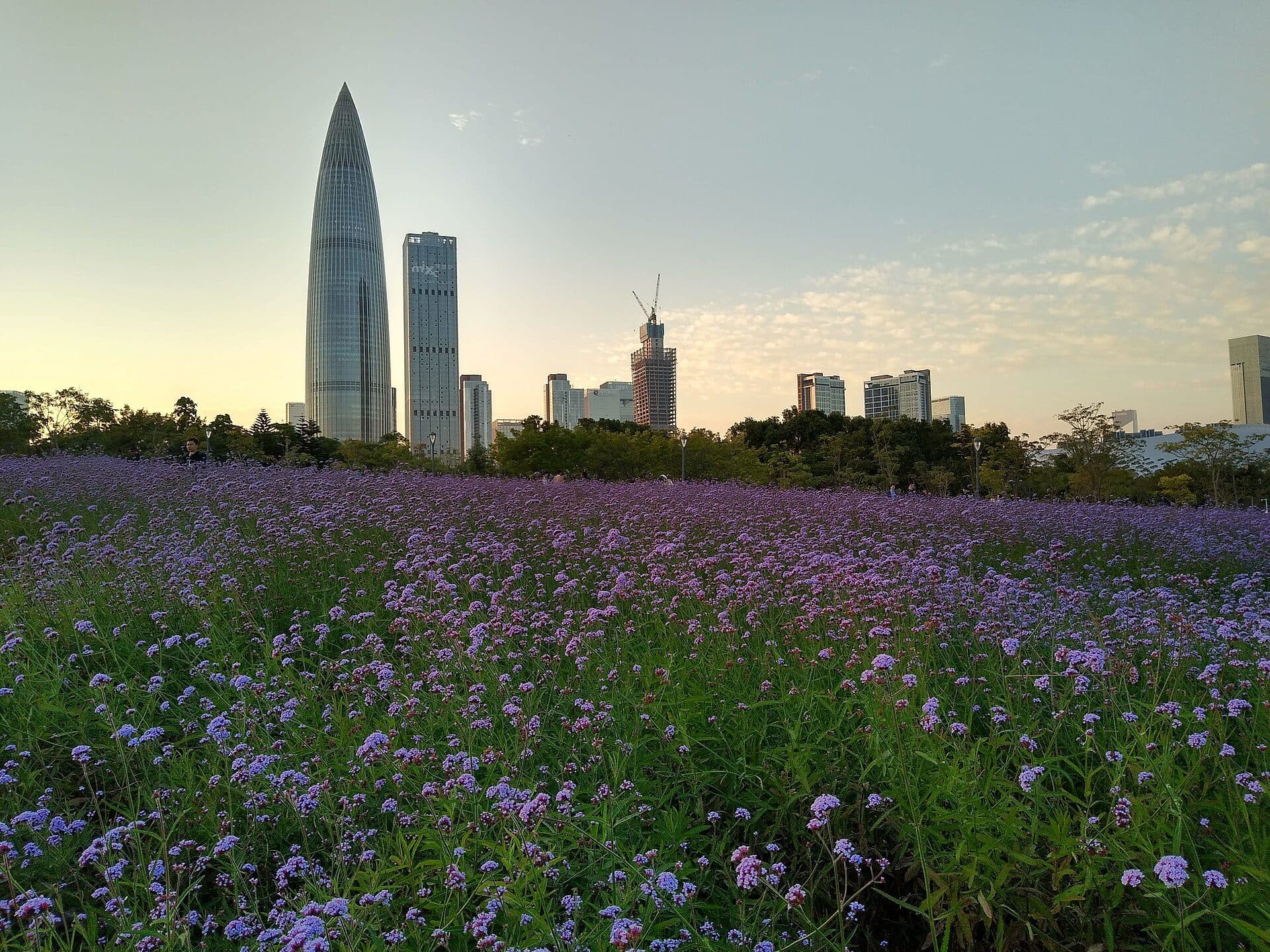 Vista de uma área ao ar livre no Shenzhen Bay Park