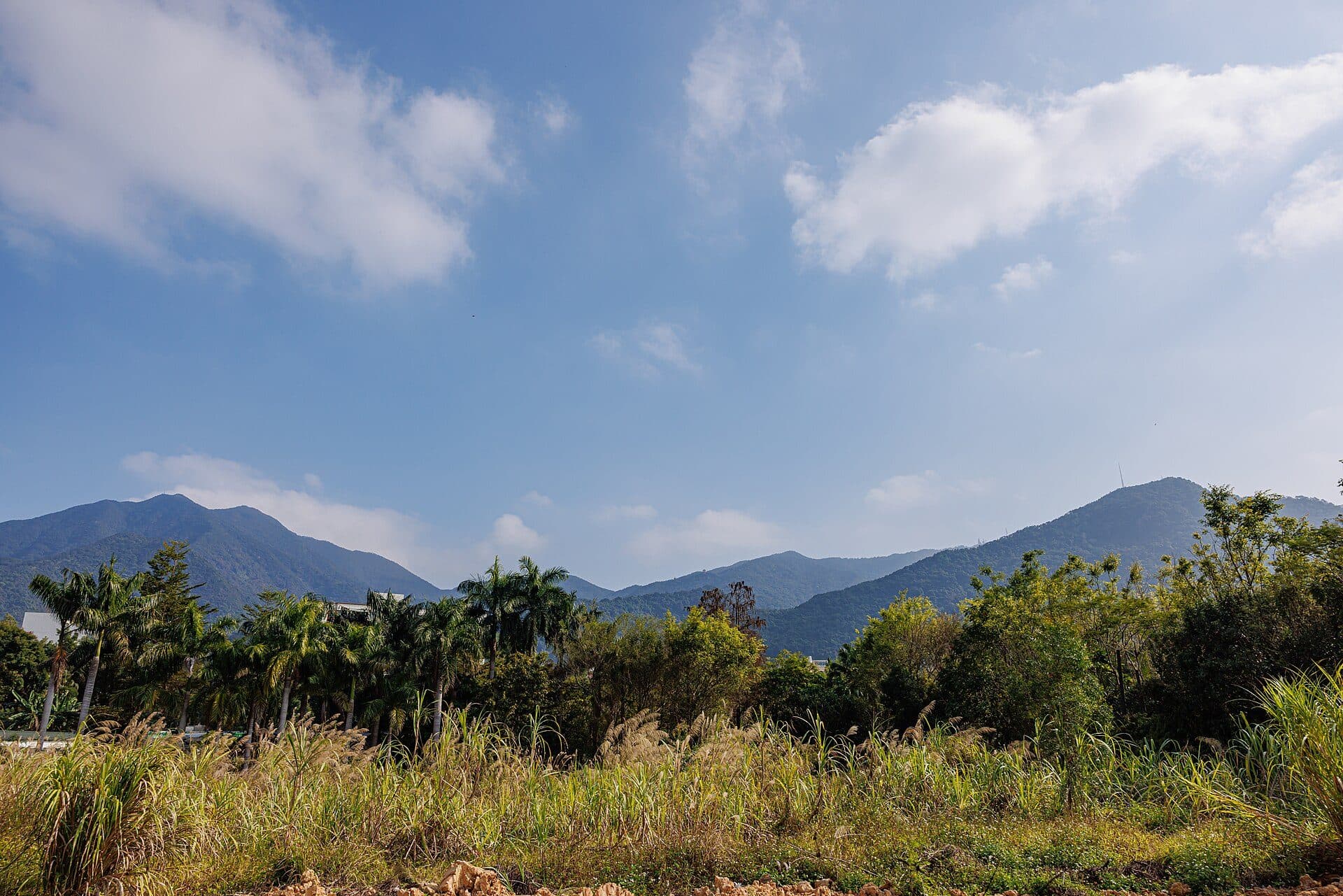 Vista da Wutong Mountain na cidade de Shenzhen