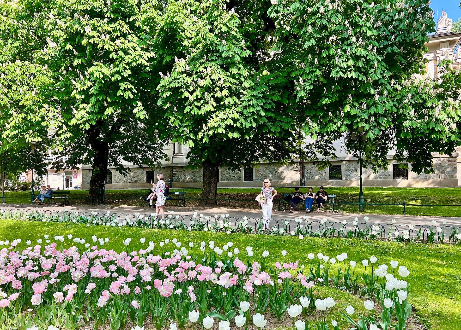 Planty Park durante a primavera na cidade de Kraków