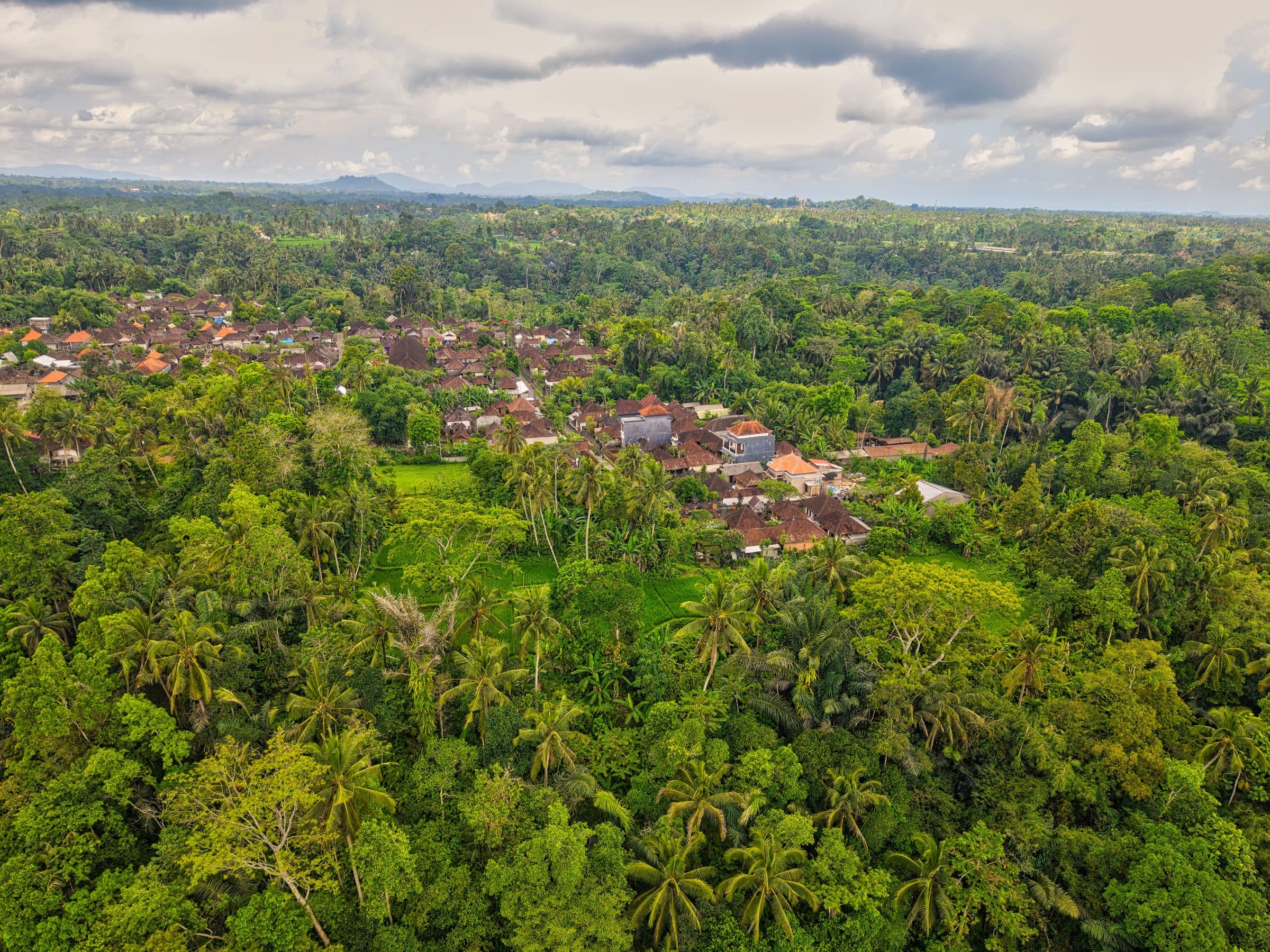 Vista aérea de uma vila tradicional cercada por floresta em Bali, Indonésia