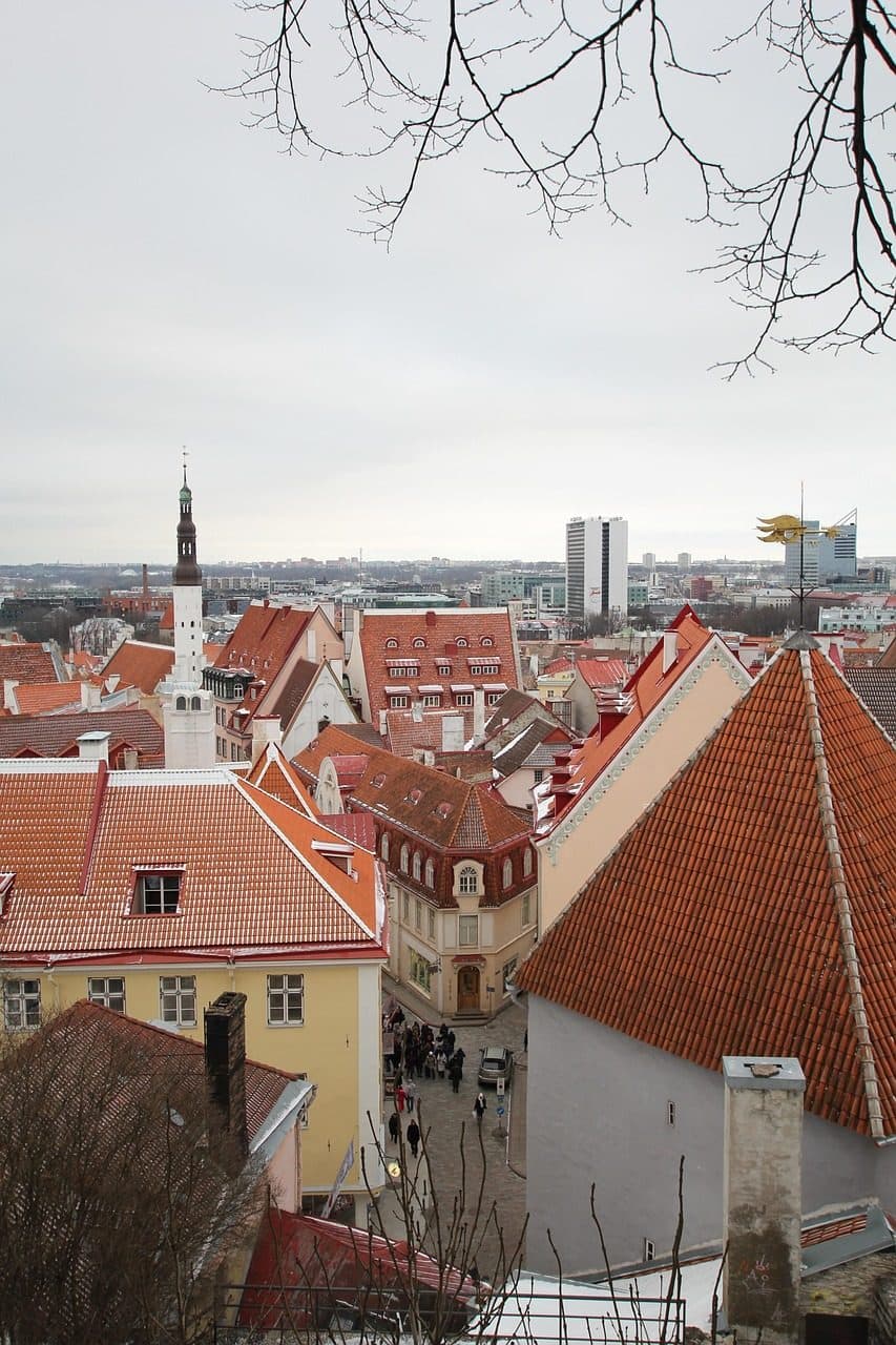 Telhados vermelhos de edifícios na cidade de Tallinn