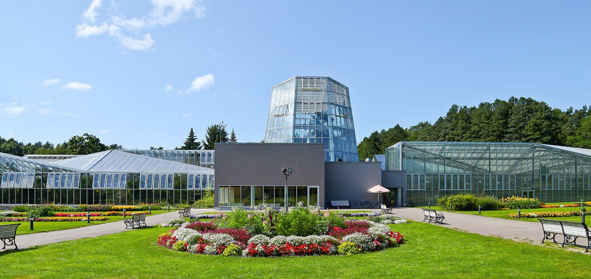 Vista da vegetação no Jardim Botânico de Tallinn, na Estônia