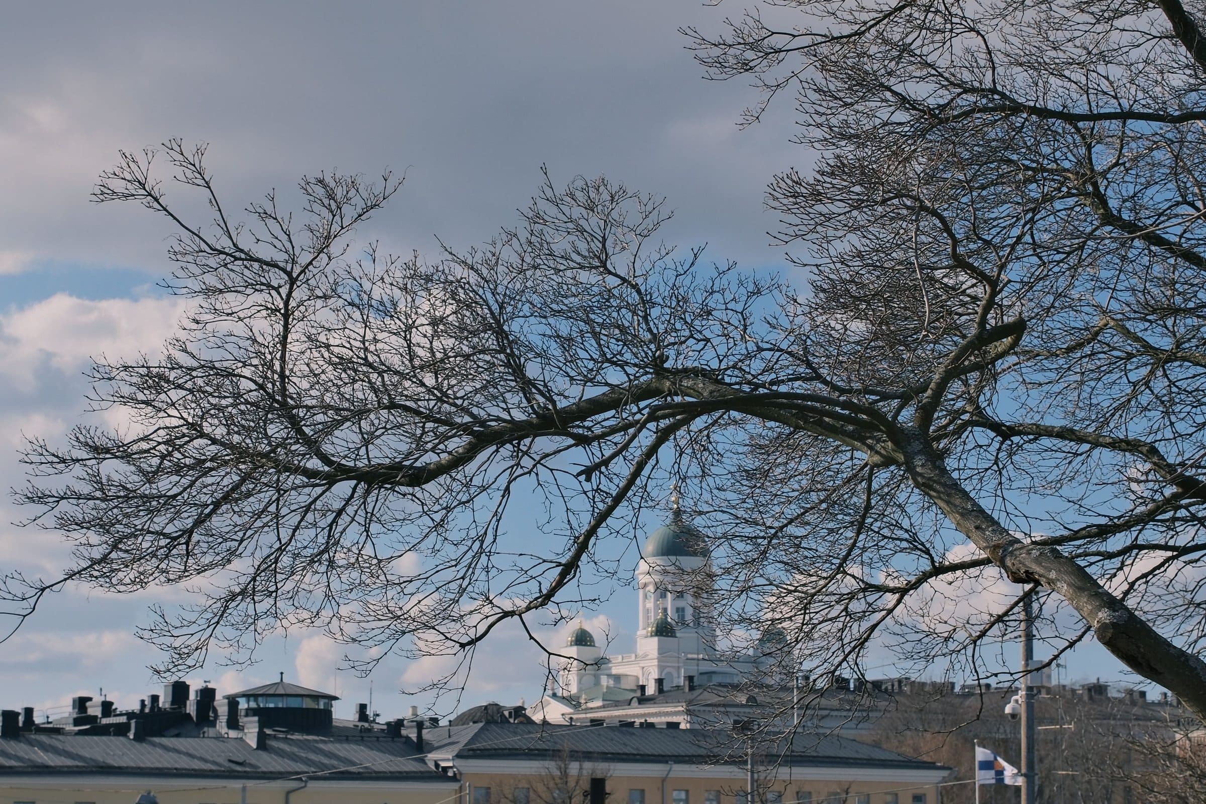 Vista da Catedral de Helsinque emoldurada por galhos secos em um dia claro de inverno