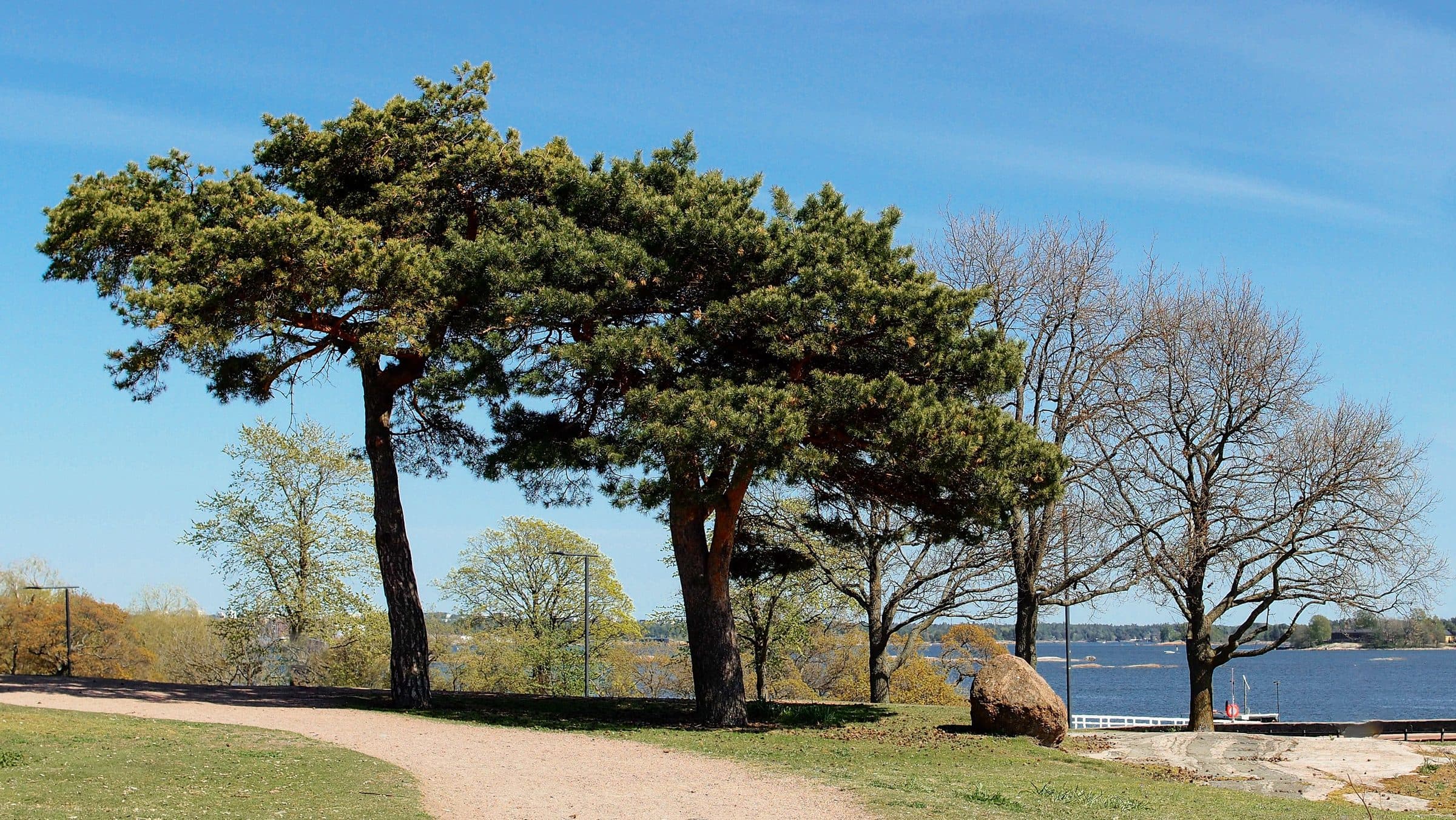Vista da orla com árvores no Parque Kaivopuisto em Helsinki, Finlândia