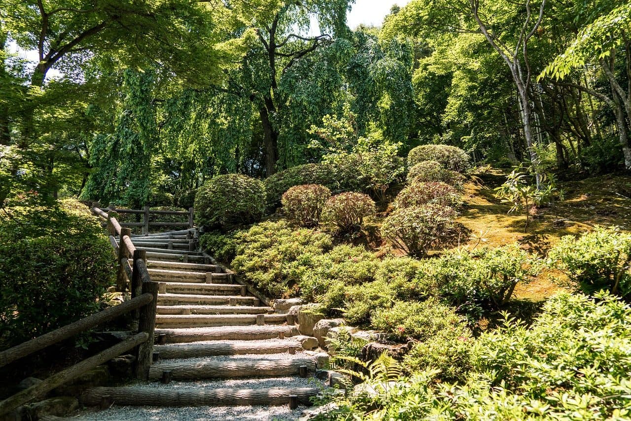 Caminho com escadaria em meio à floresta verde no Parque de Arashiyama, em Kyoto