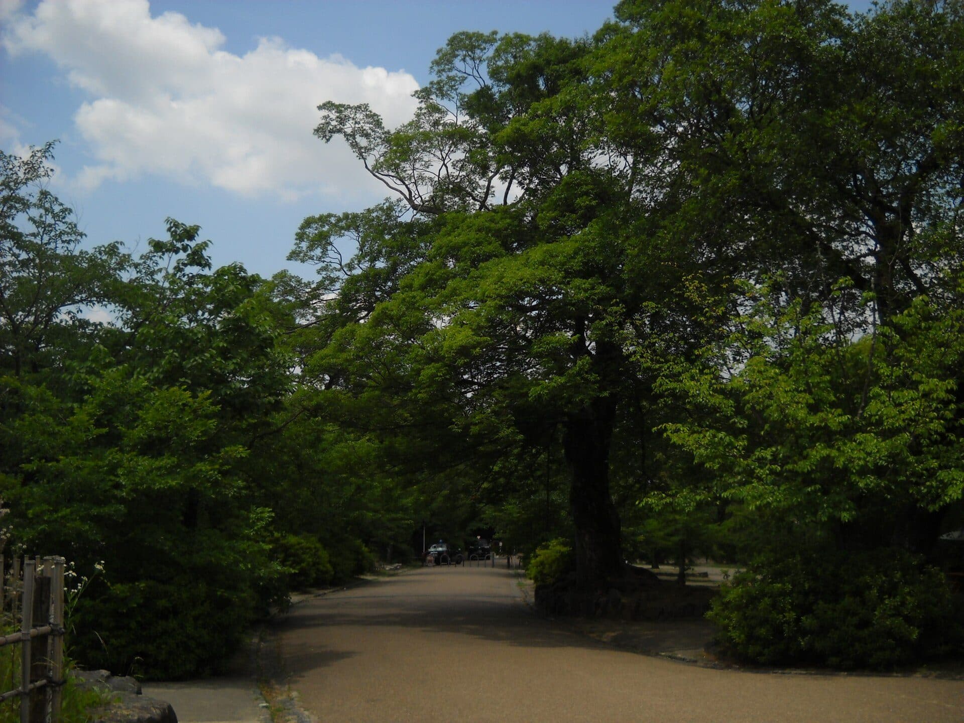 Vista do Parque Maruyama em junho de 2019