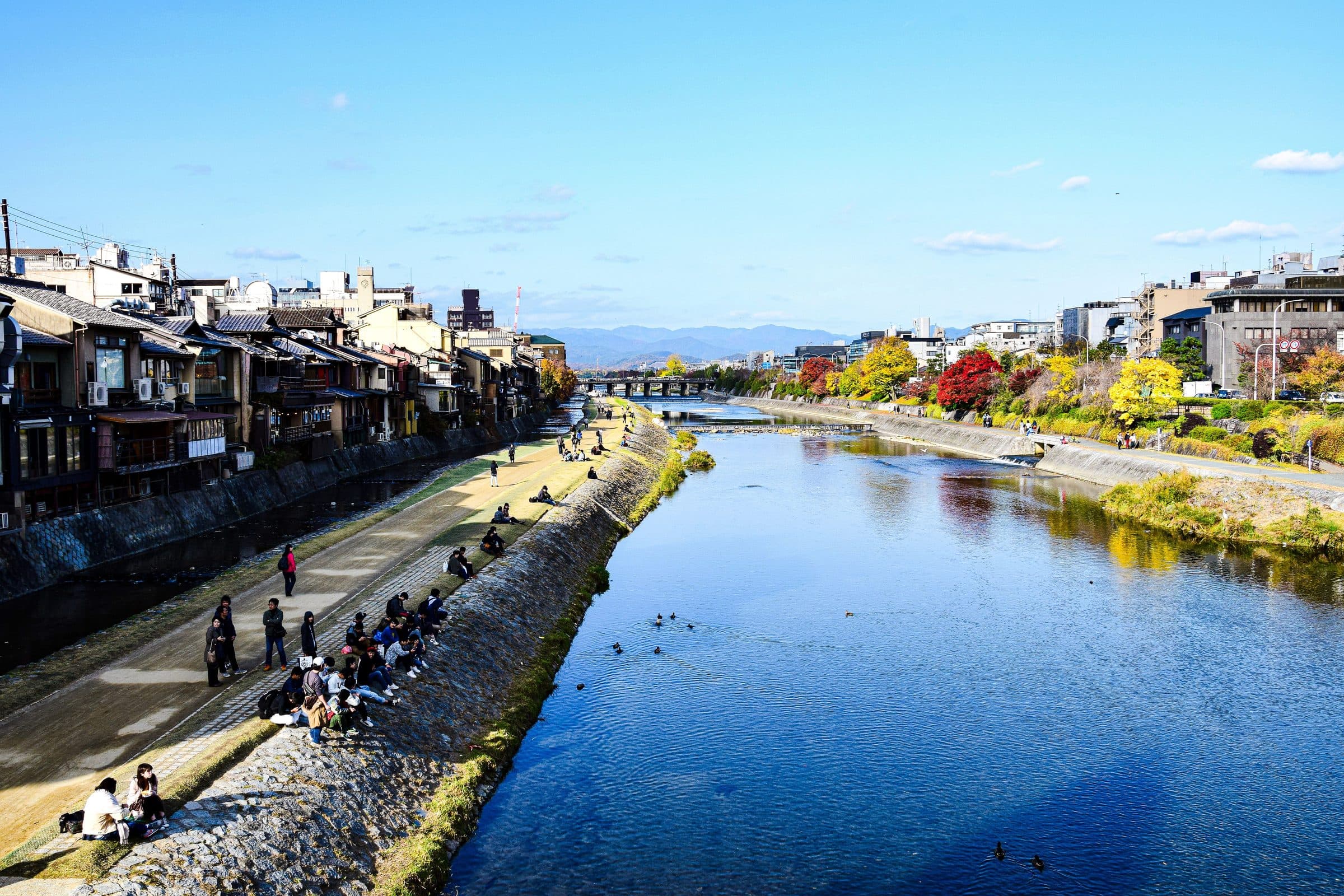 Vista do Rio Kamo com paisagem urbana e árvores de outono em Kyoto, Japão