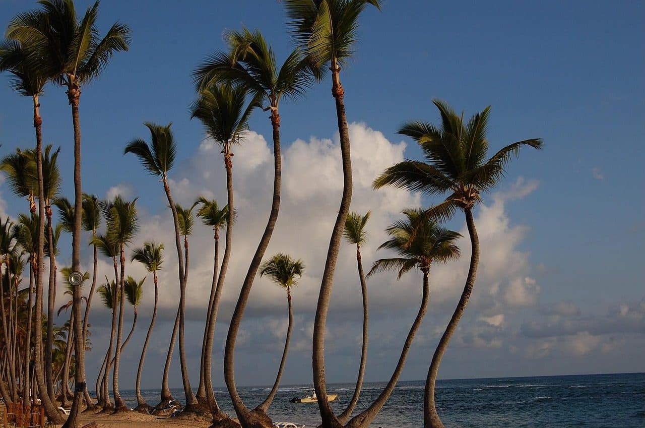 Hotel com piscina e palmeiras à beira da praia em Punta Cana, na República Dominicana