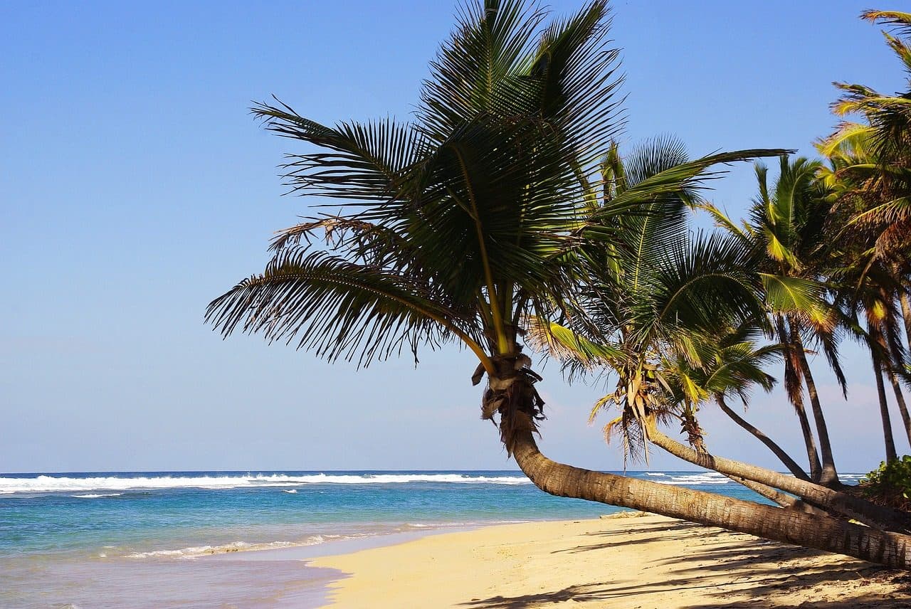 Praia ensolarada em Bávaro, Punta Cana, com coqueiros na orla e o mar