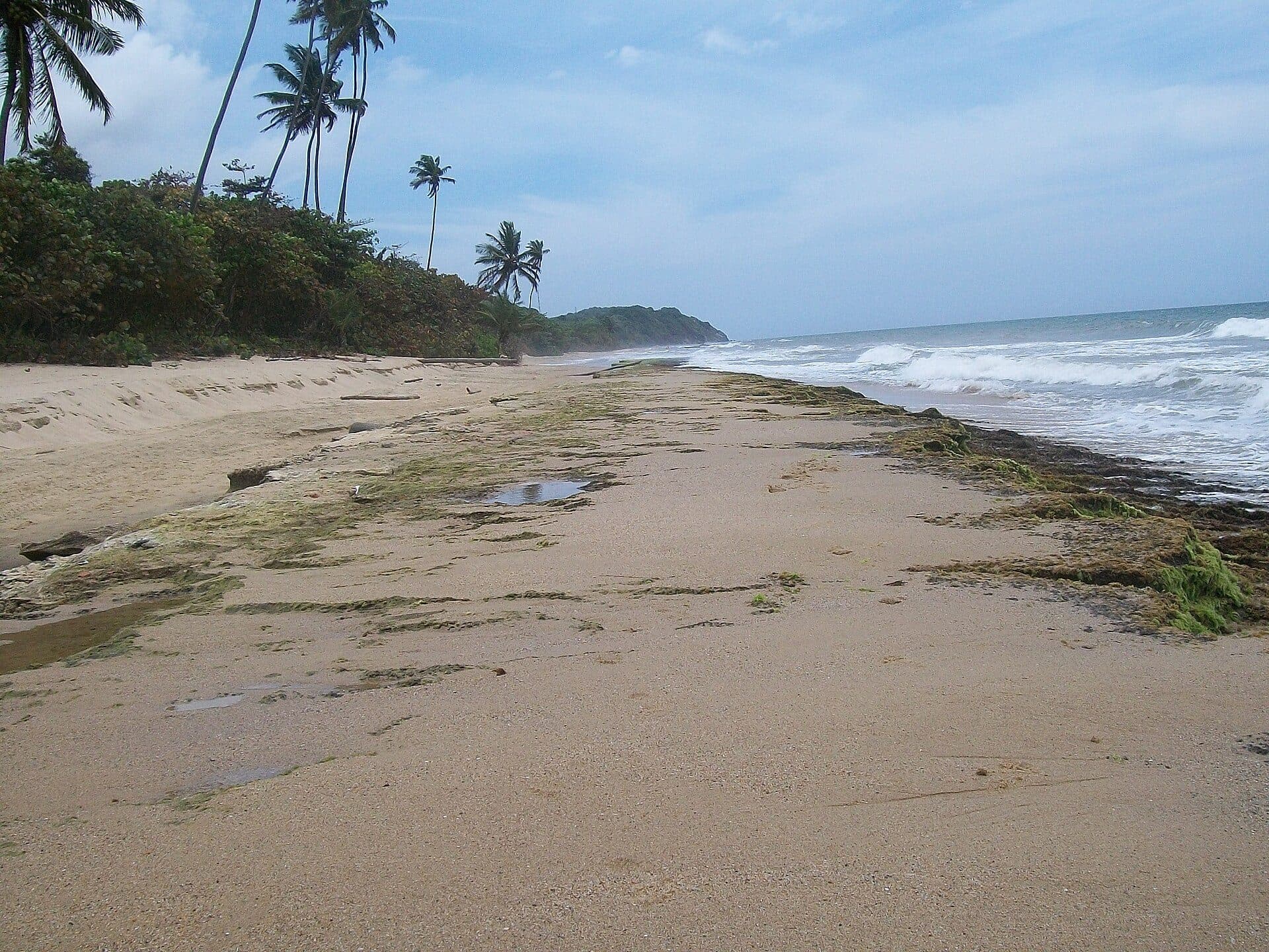 Vista da Playa Arena Gorda localizada em La Sabana, Vargas